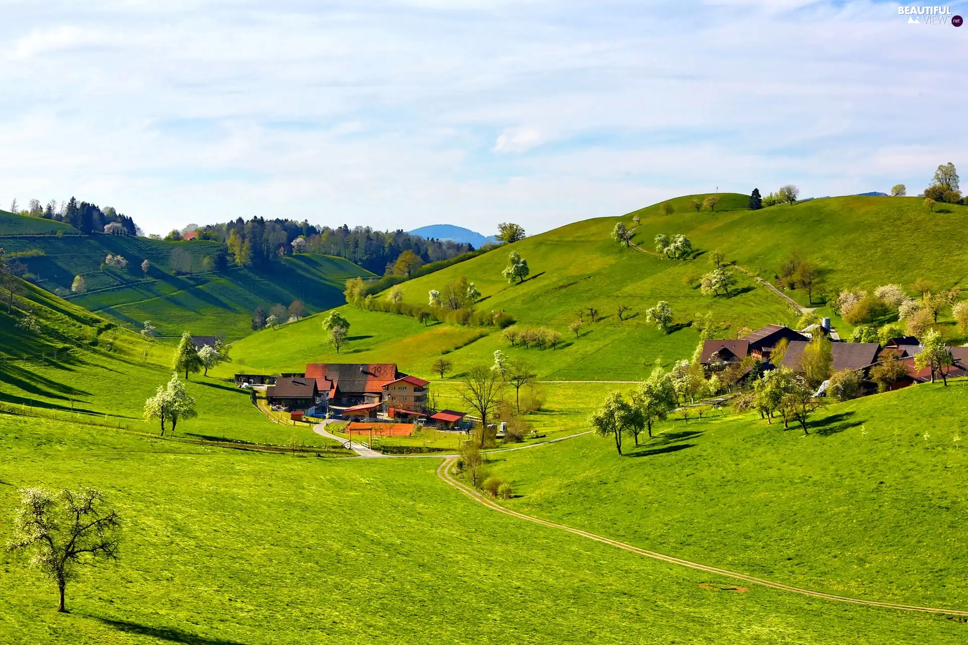 The Hills, Spring, Houses, country, Valley, medows