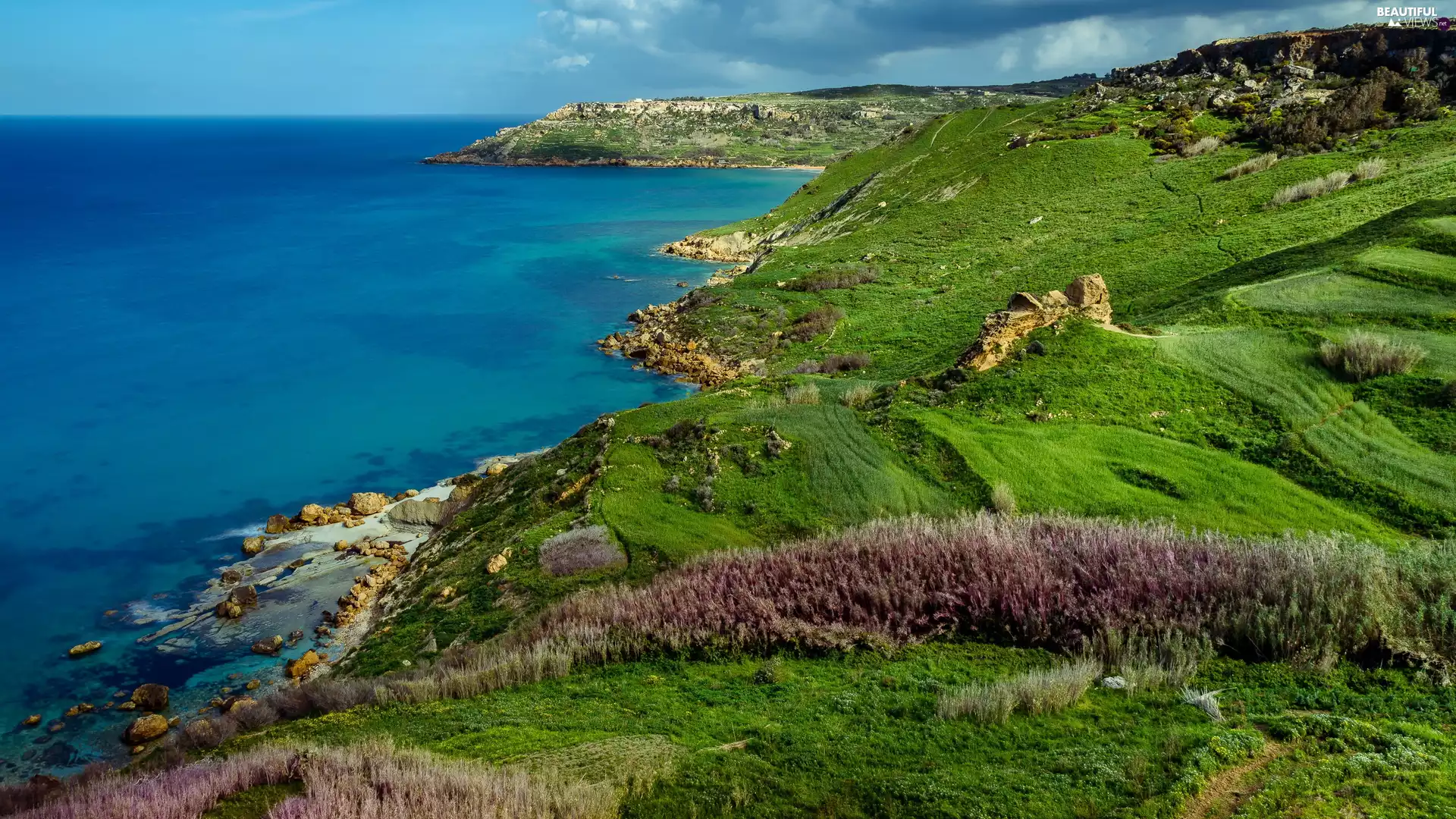 green ones, medows, The Hills, Coast, sea