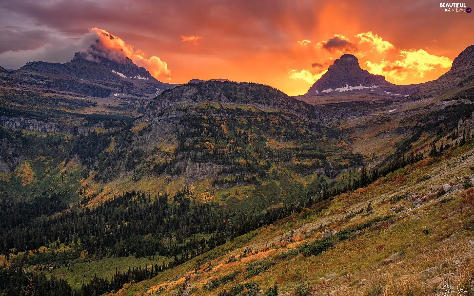 viewes, Mountains, Montana, trees, Glacier National Park, Great Sunsets, The United States