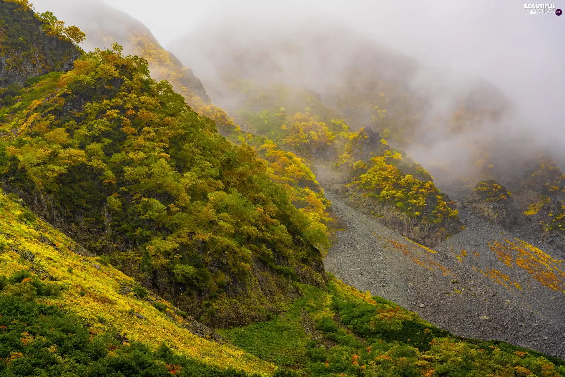 rocks, Fog, forest, The Hills, Mountains