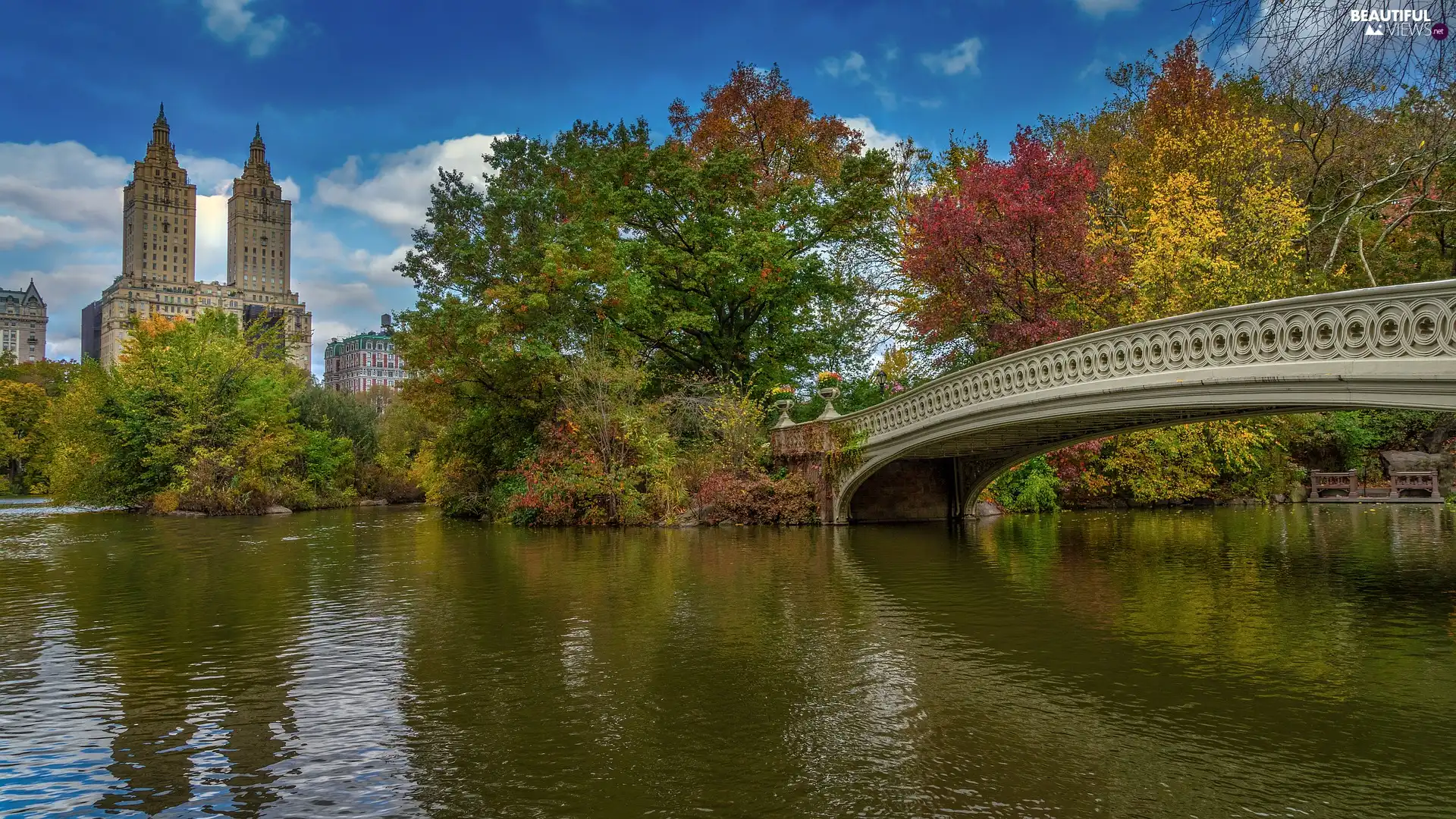 Manhattan, New York, Central Park, Eldorado Building, bridge, The United States, viewes, lake, trees