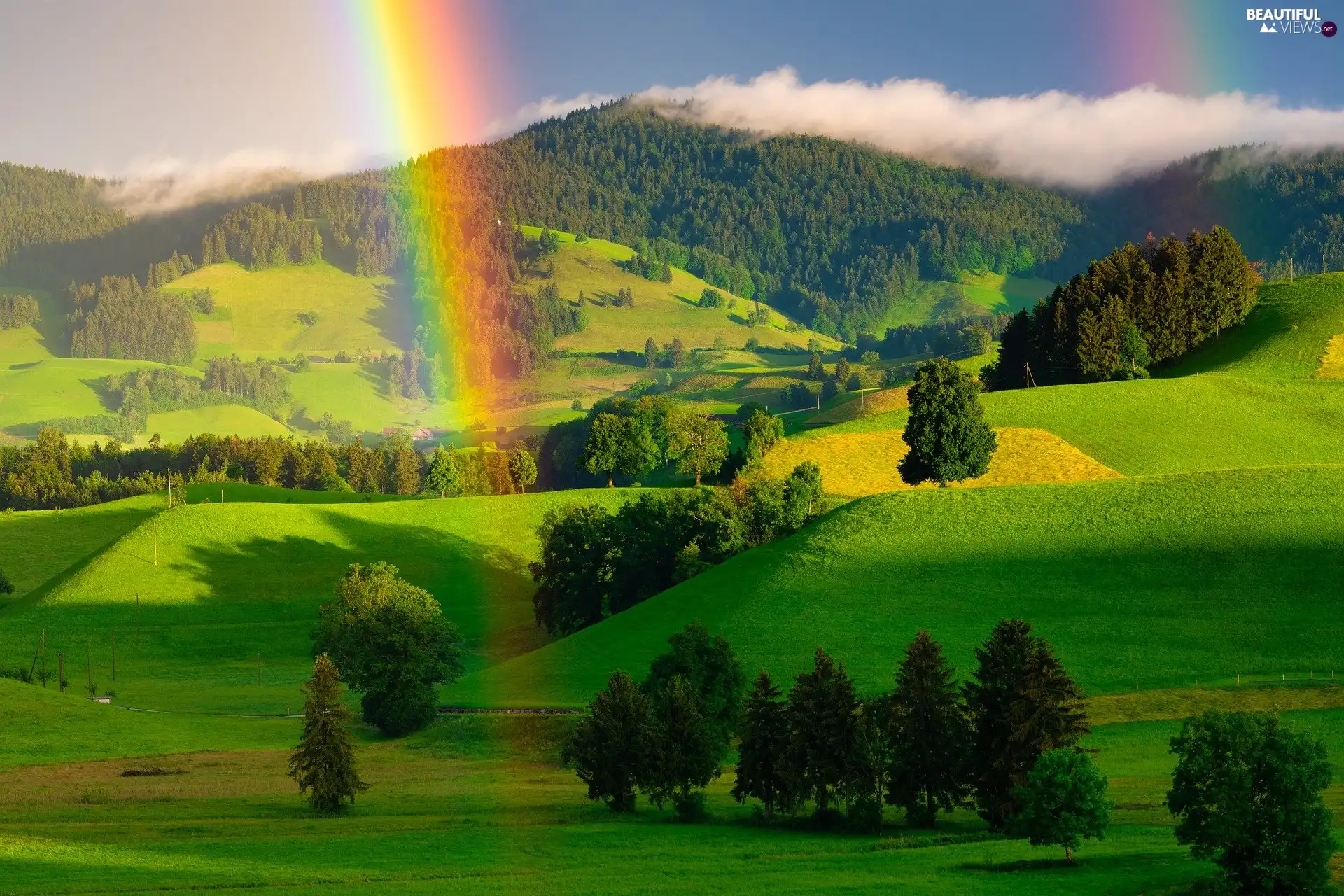 The Hills, forest, viewes, Mountains, Great Rainbows, trees, summer