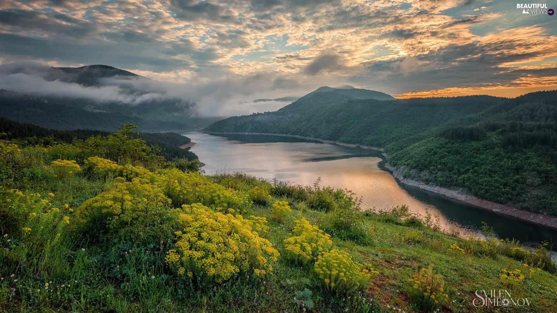 Fog, Flowers, Mountains, The Hills, River