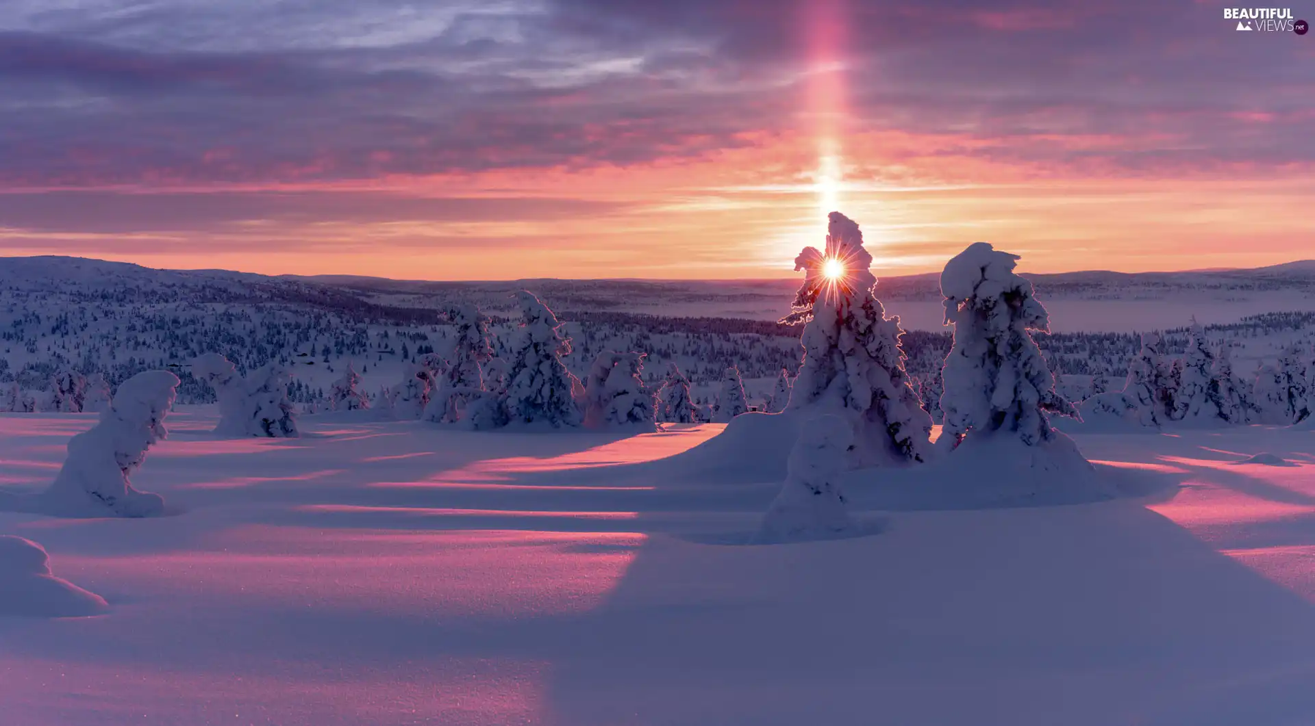 The Hills, snow, trees, rays of the Sun, winter, Snowy, viewes
