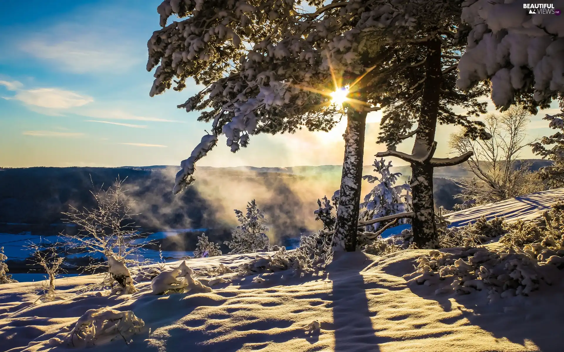 snow, winter, trees, viewes, Fog, Hill, morning, rays of the Sun, Bush