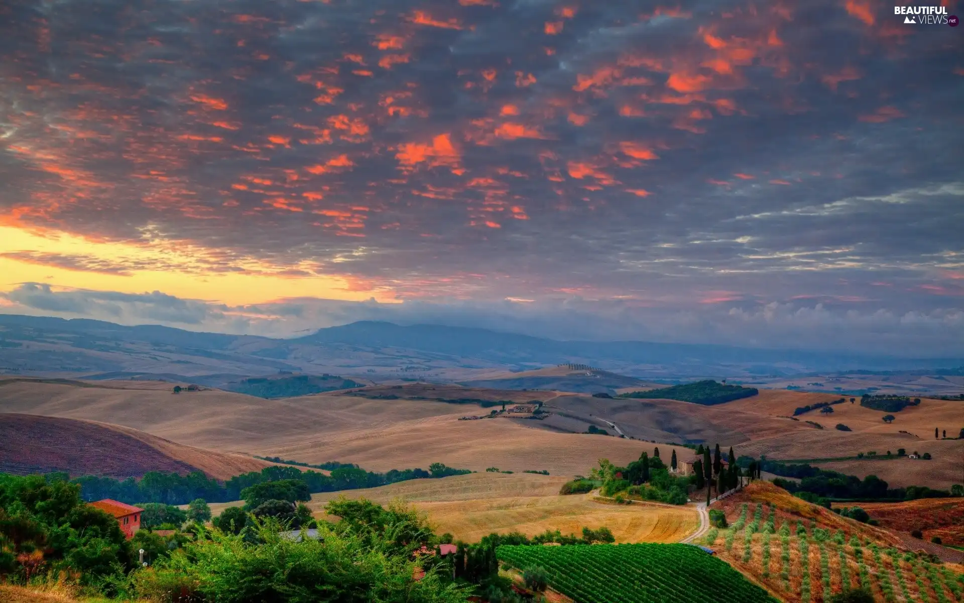 The Hills, Tuscany, sun, field, west