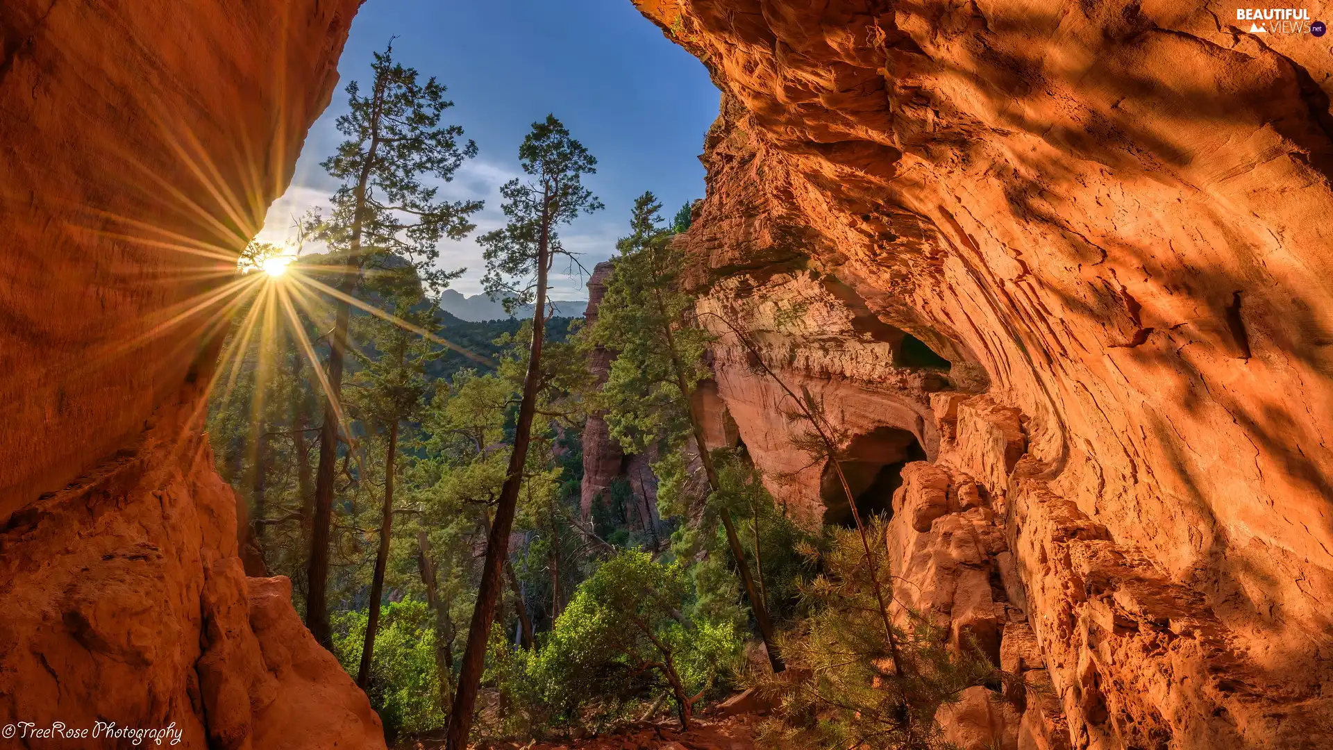 rays of the Sun, rocks, Arizona, The United States, Sedona, pine
