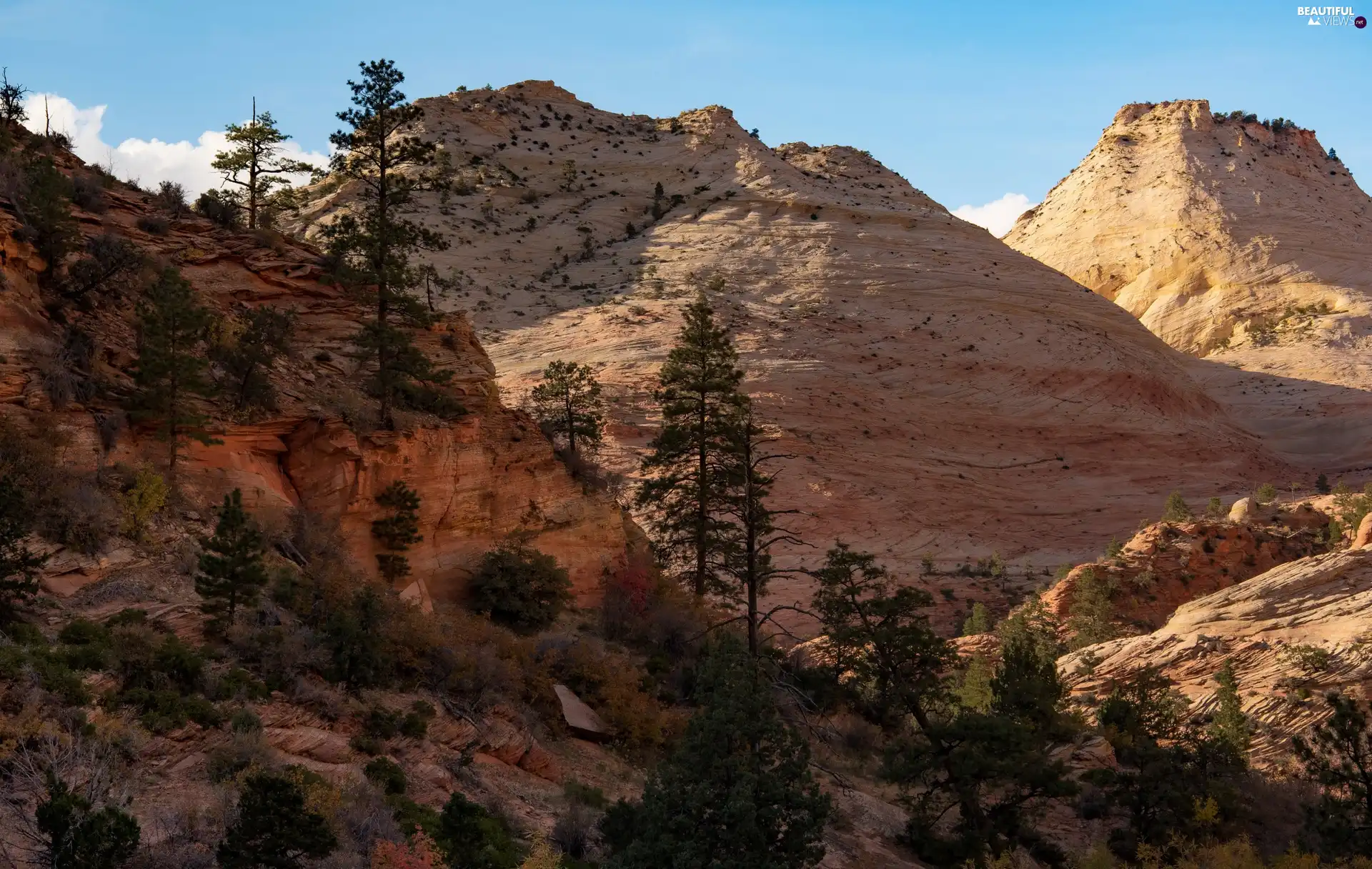 Mountains, trees, Utah State, viewes, Zion National Park, rocks, The United States