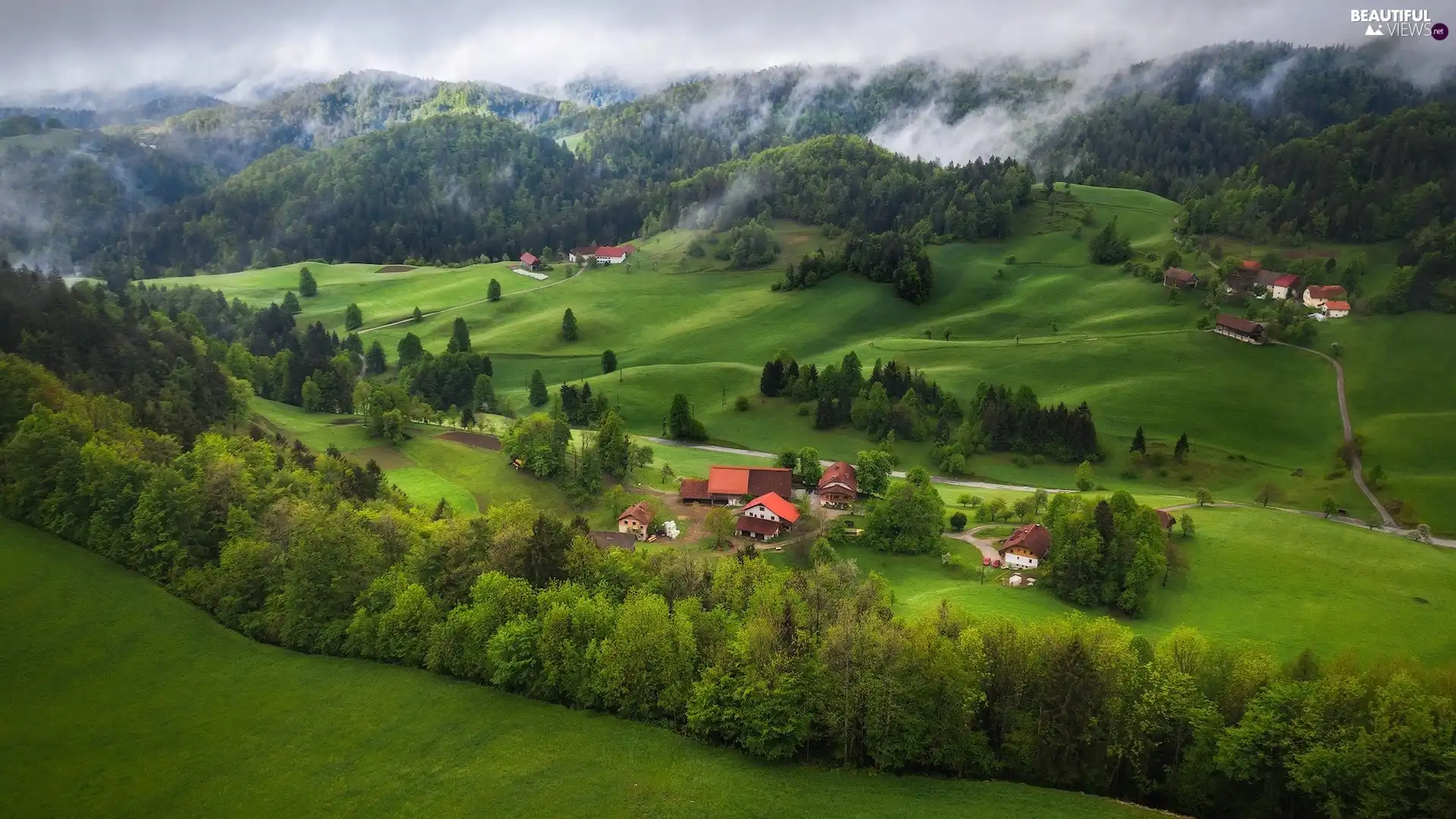 The Hills, Mountains, woods, trees, Houses, medows, Fog, Valley, viewes