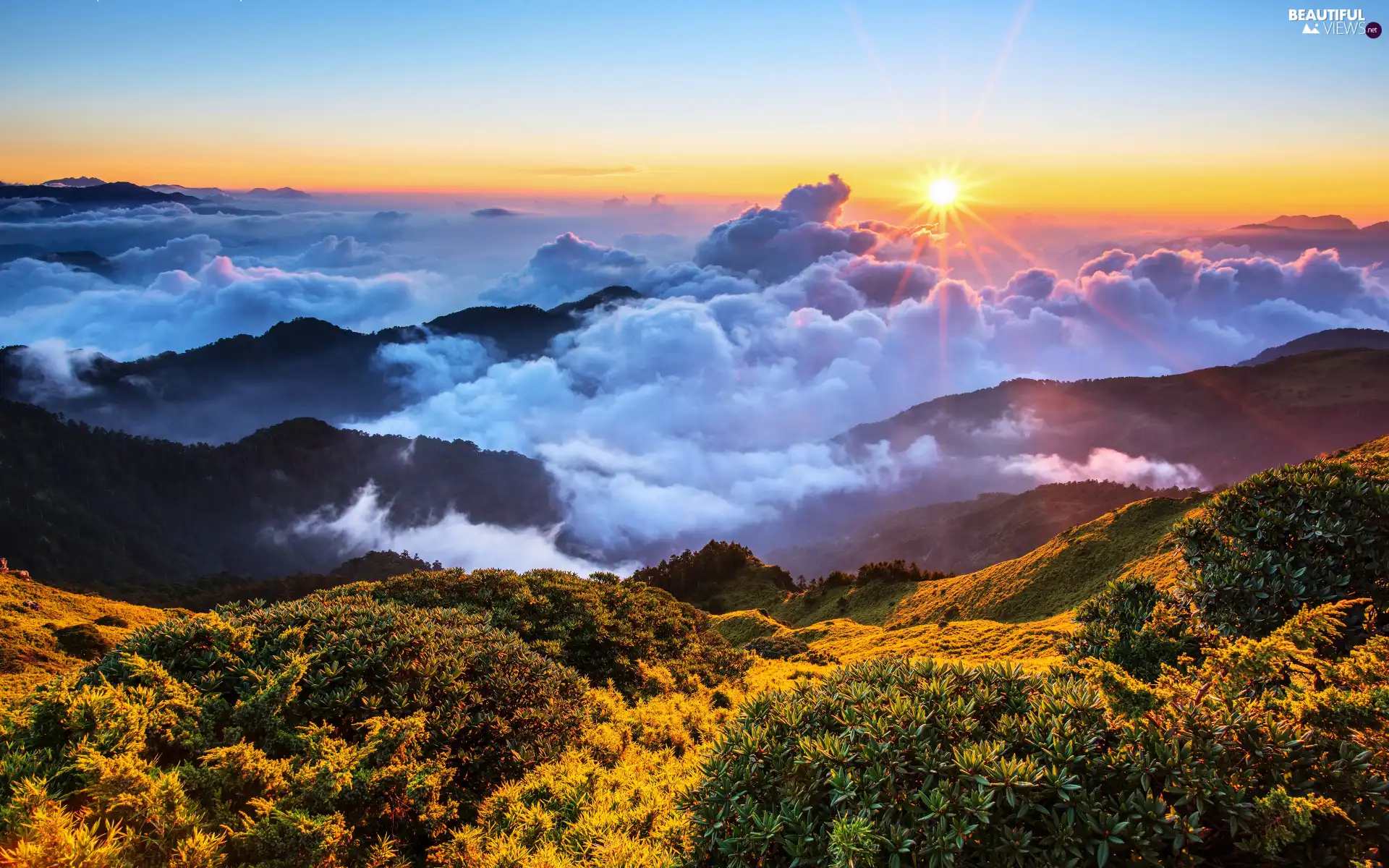 rays, clouds, VEGETATION, Mountains, The Hills, Sunrise, rays of the Sun, Fog