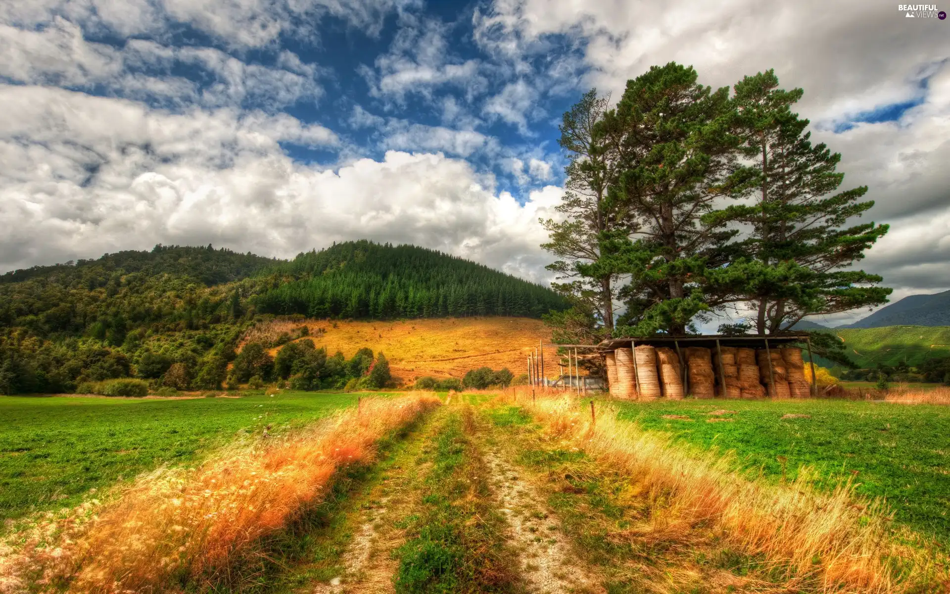 Way, Hay, The Hills, Field