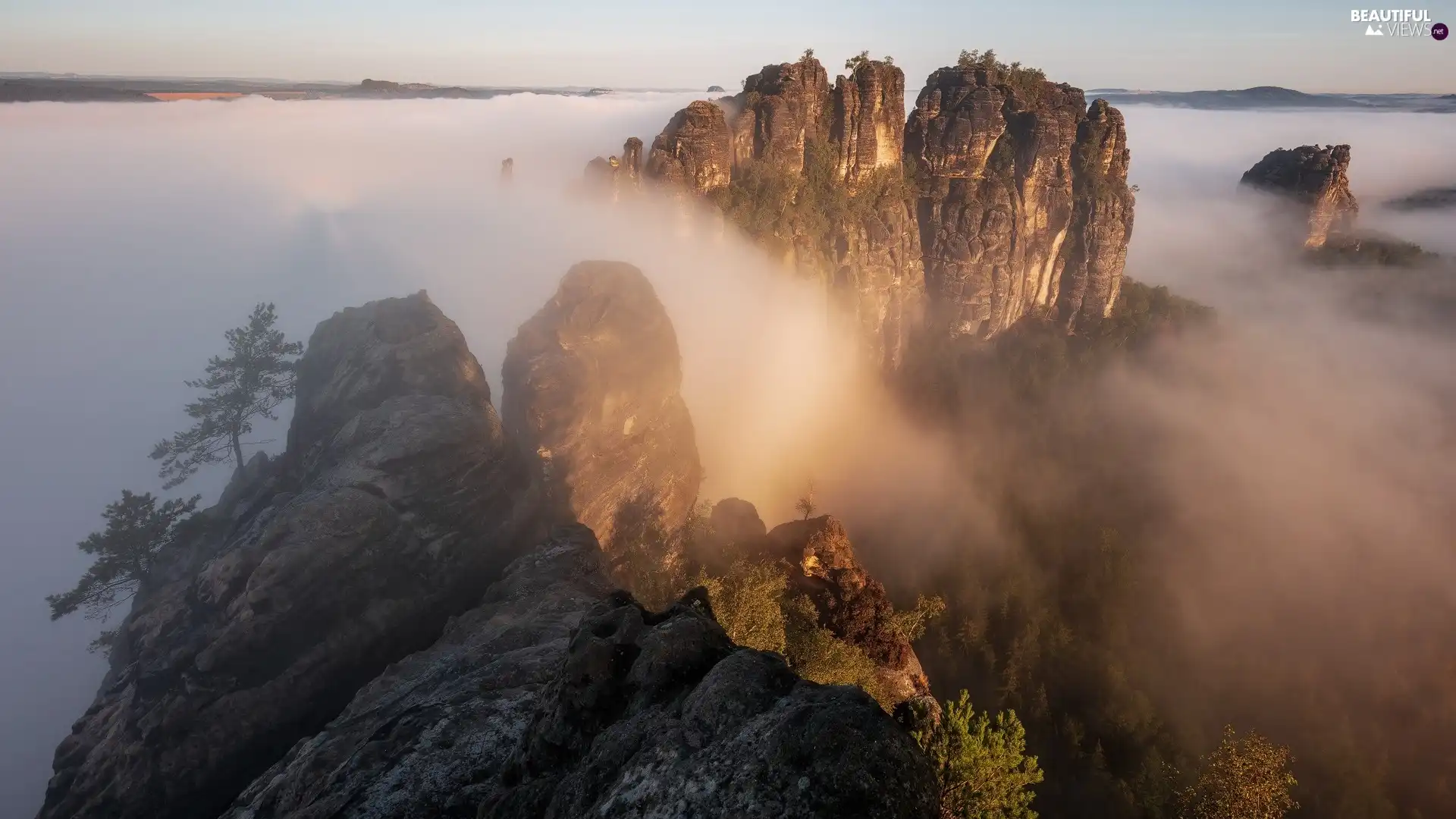 Fog, rocks, viewes, Thick, Mountains, trees, pine