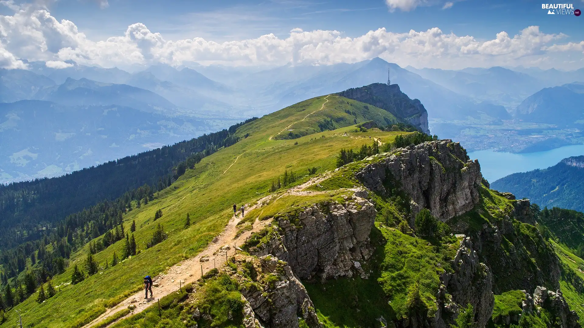 Mountains, viewes, Tourists, trees