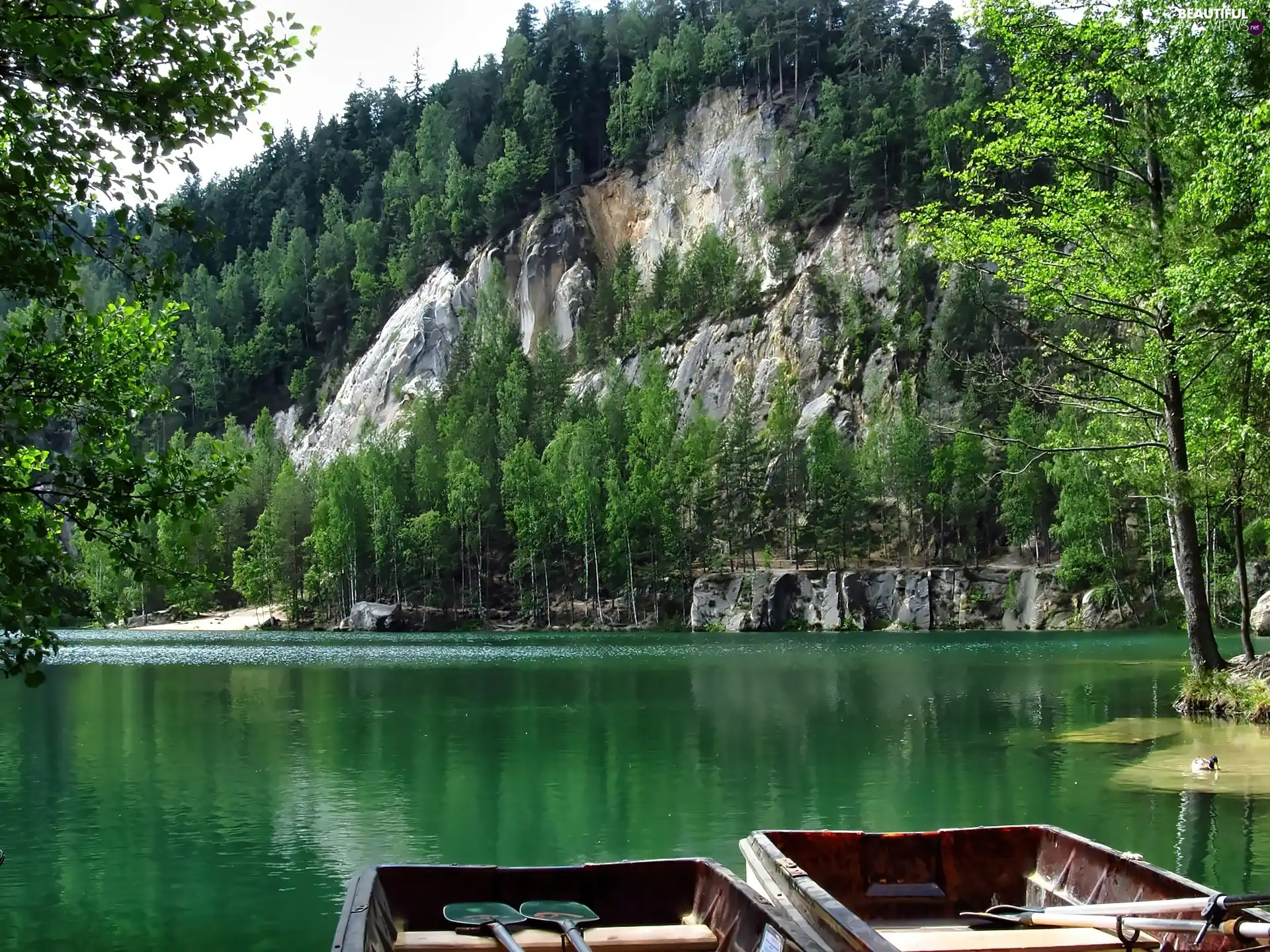 Adrspach, bed-rock, Town, Czech Republic