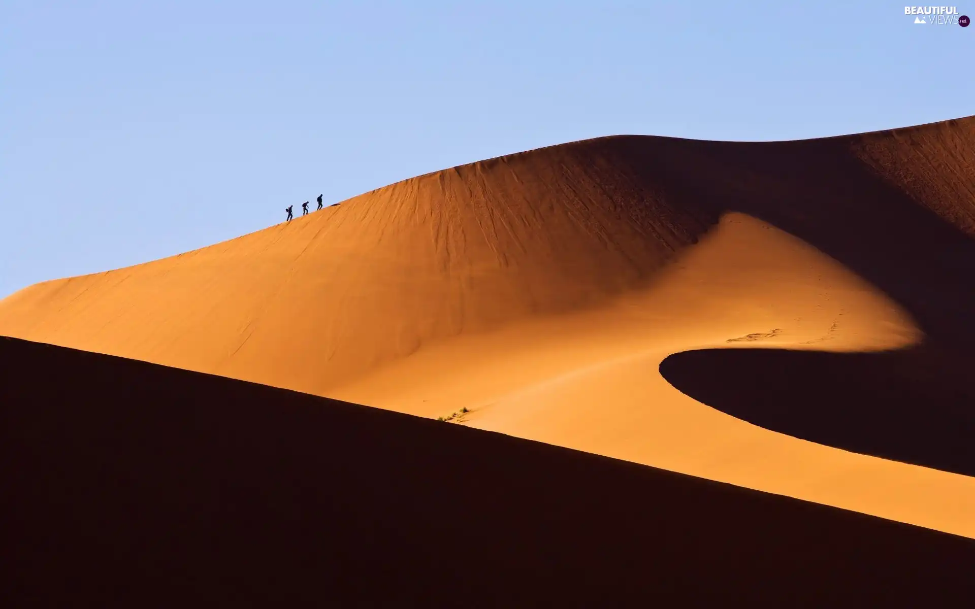 Desert, Dunes, Travellers, Namibia