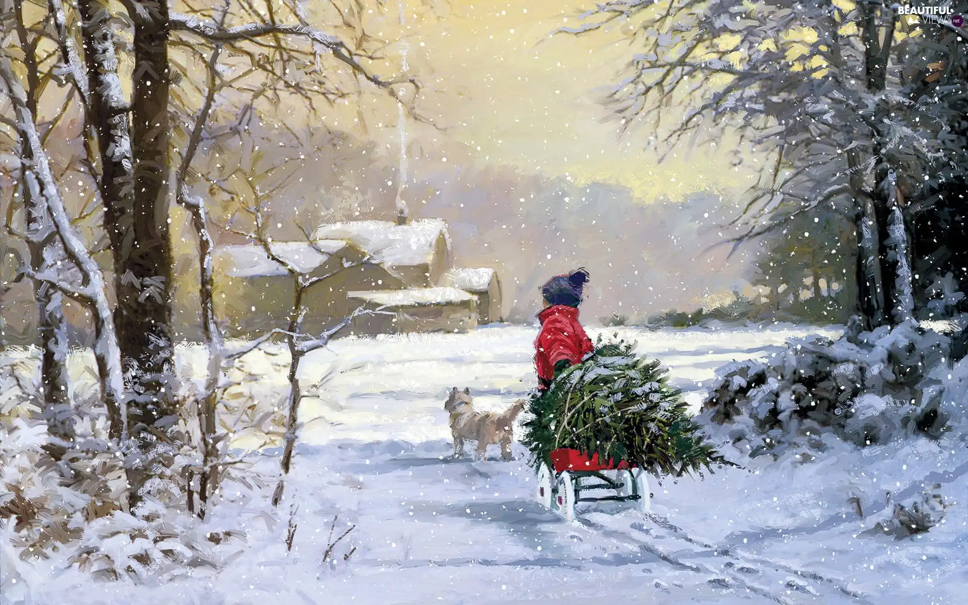 Kid, winter, christmas tree, doggy, sledge, snow