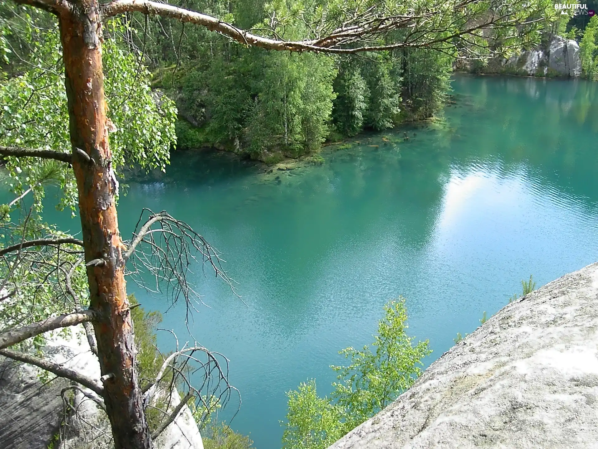 trees, lake, Adrspach, Czech Republic, viewes, rocks