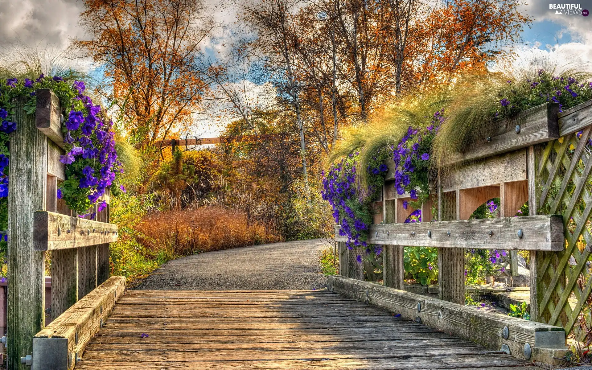 Way, bridges, viewes, Flowers, wooden, trees, autumn