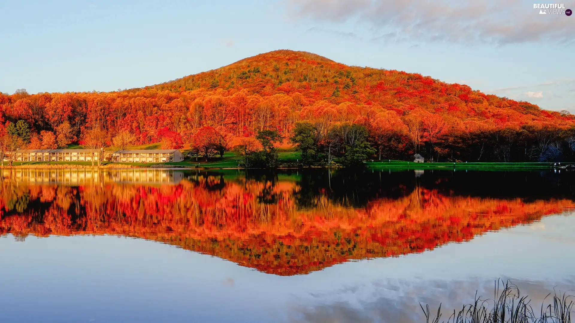 viewes, forest, autumn, trees, lake, Hill, reflection