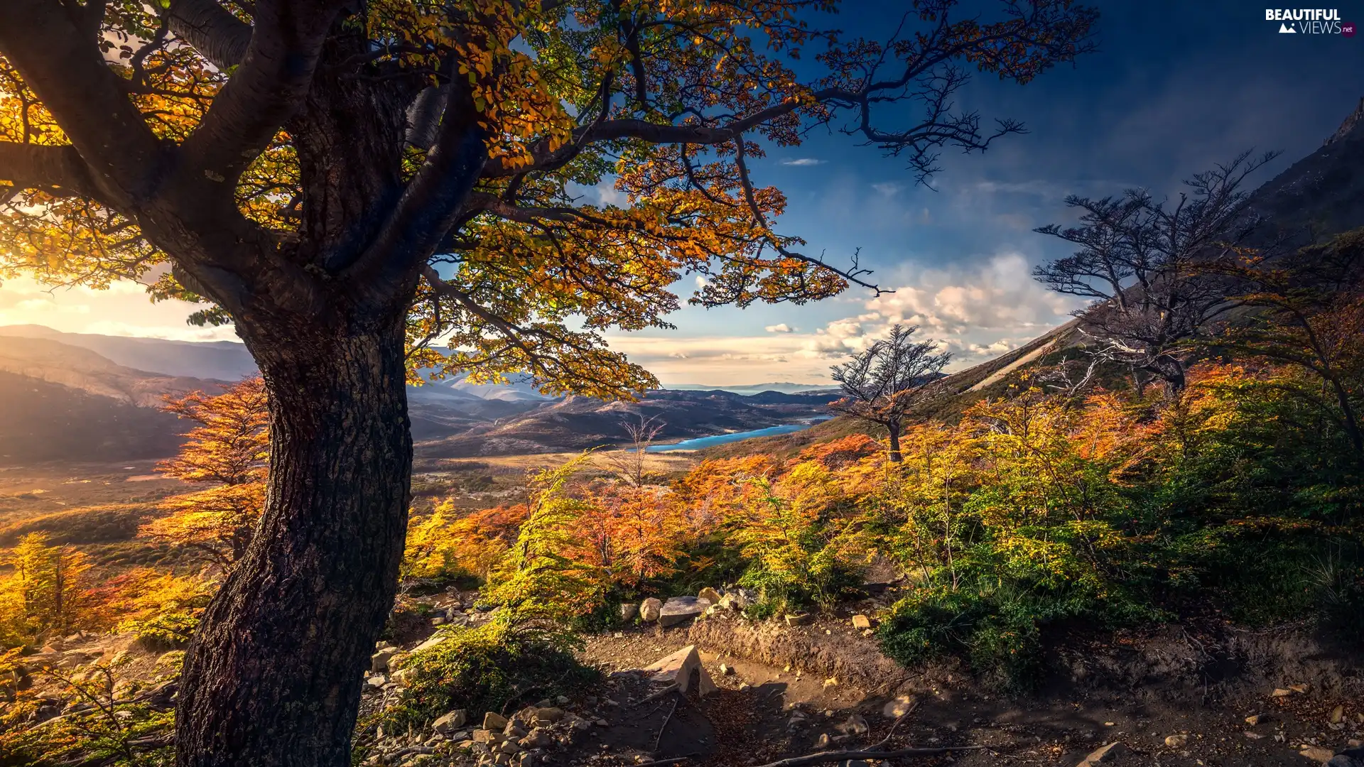 viewes, River, autumn, trees, Mountains, Bush, clouds