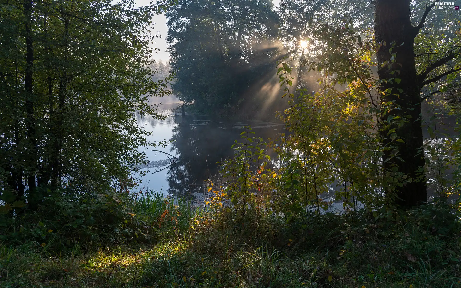 River, light breaking through sky, viewes, grass, trees