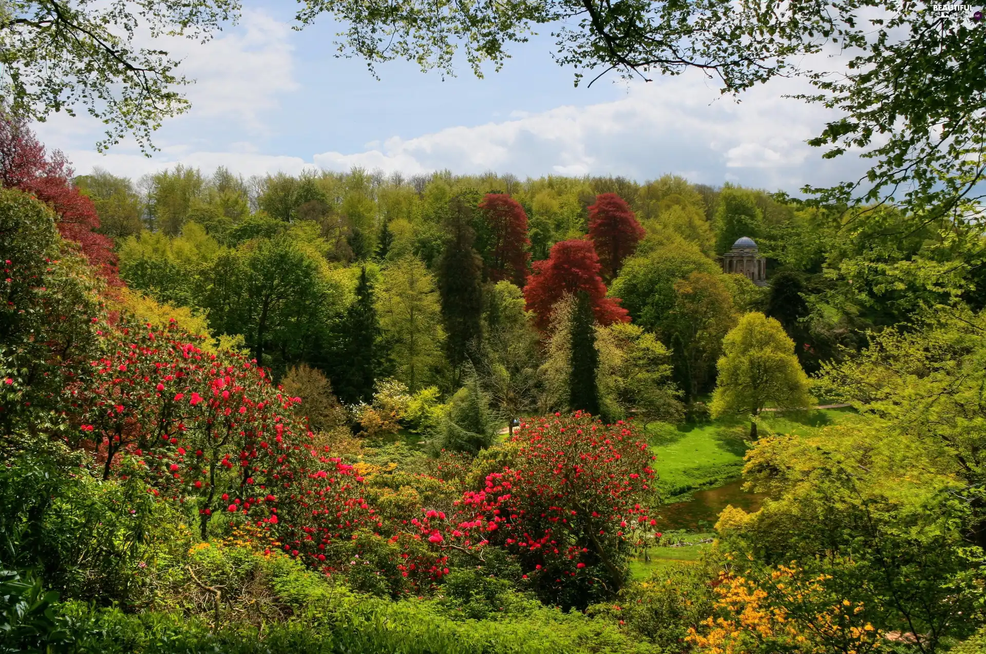 color, Park, viewes, Bush, trees, arbour