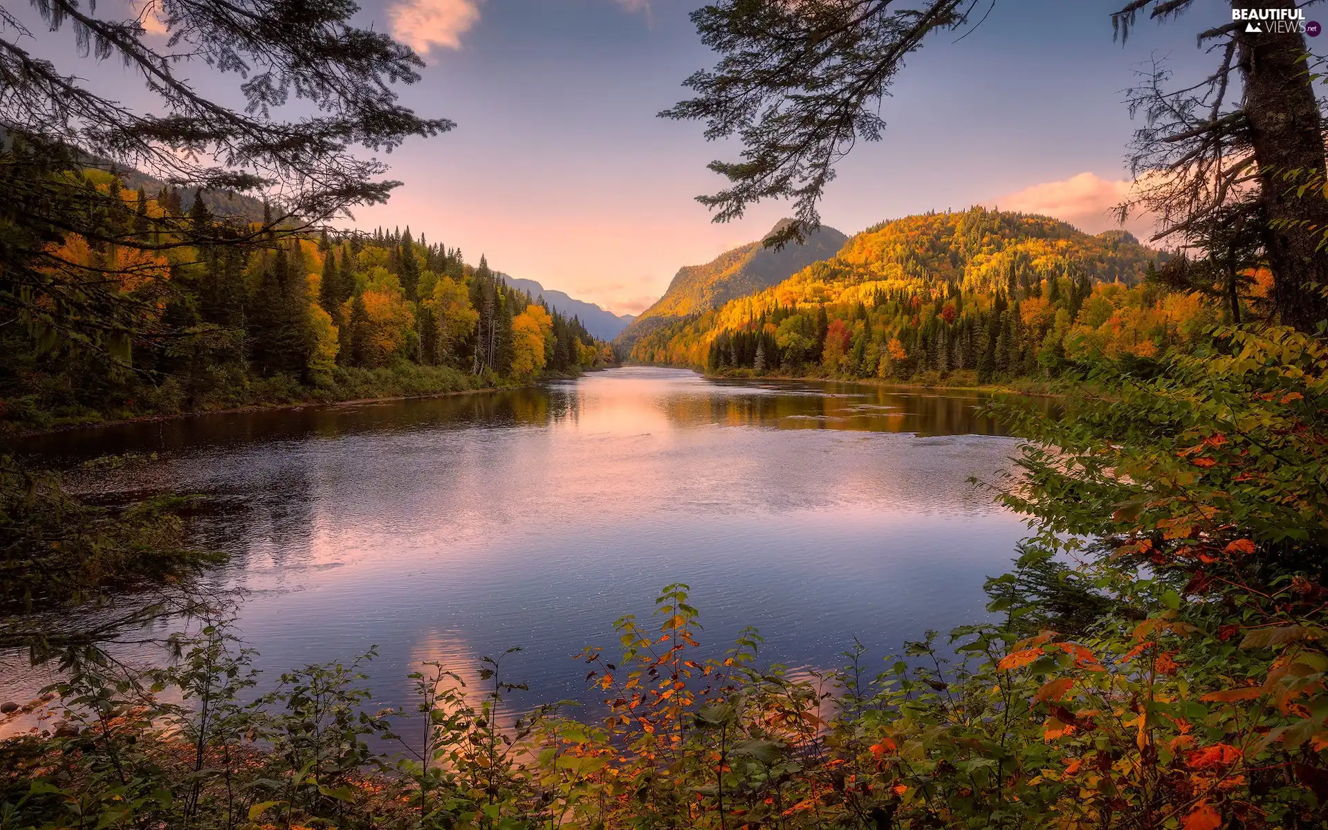Mountains, lake, Bush, autumn, viewes, Canada, Quebec, trees