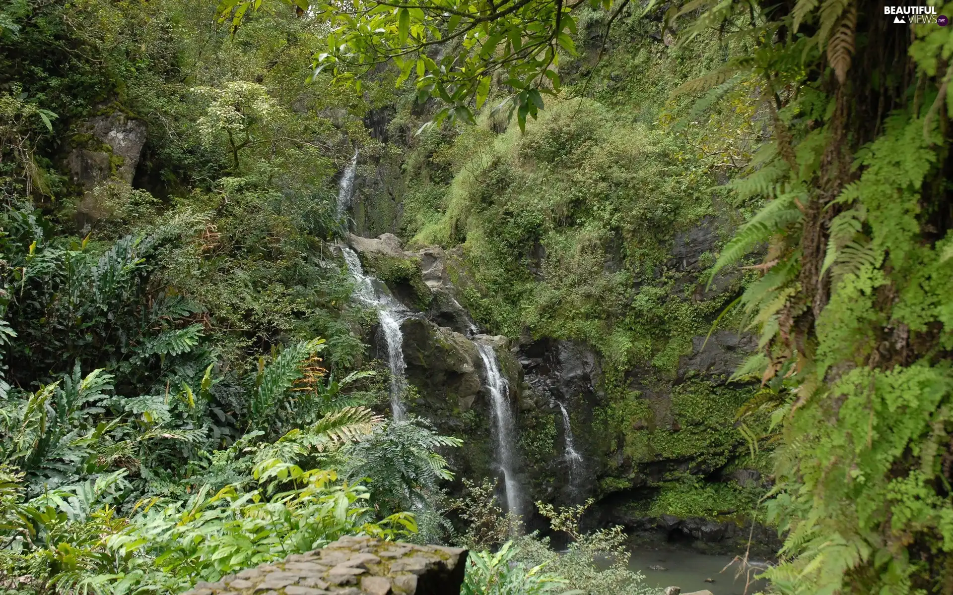 trees, Bush, Mountains, Rocks, waterfall