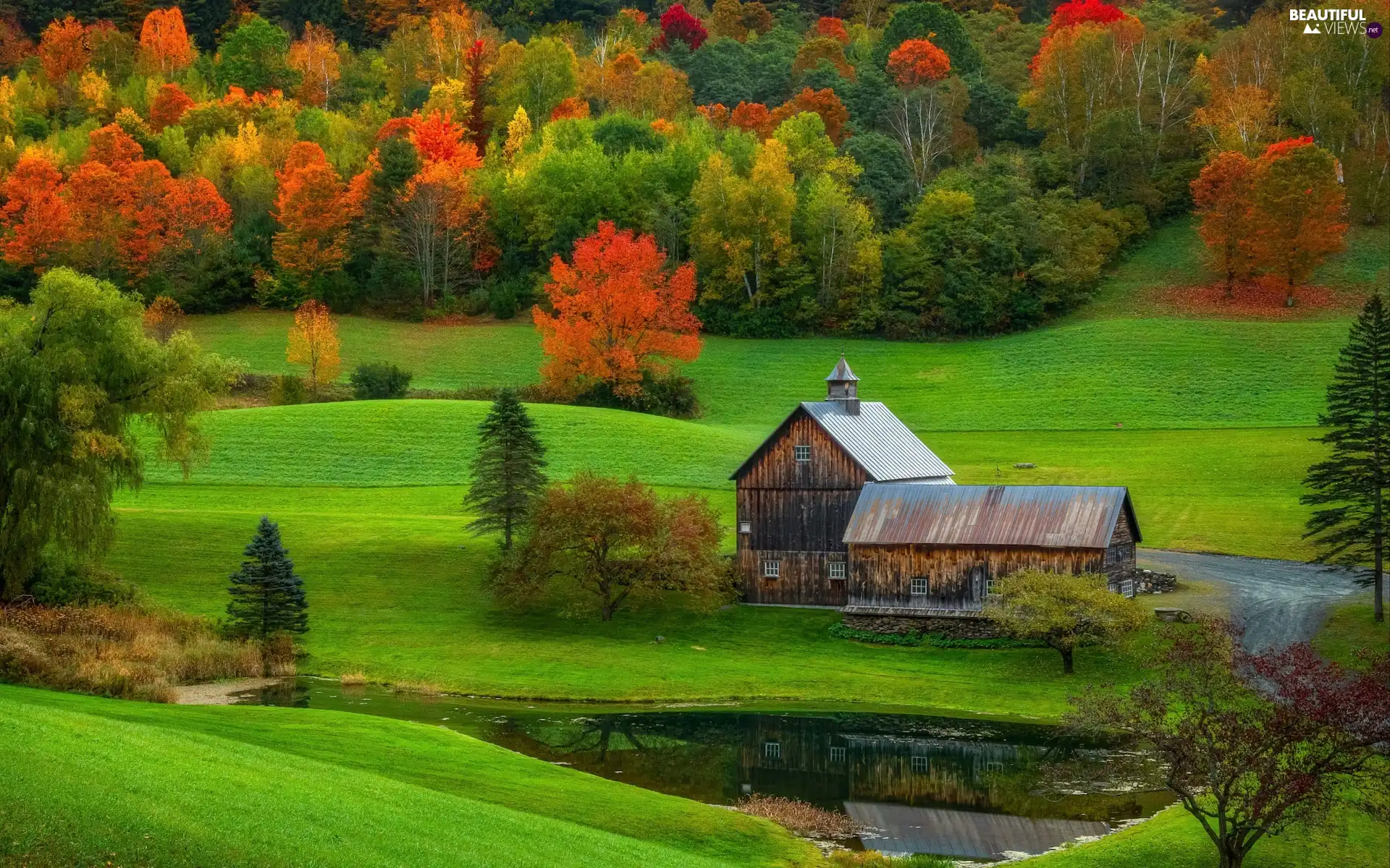 viewes, State of Vermont, The Hills, Pond - car, Houses, The United States, New England, country, autumn, trees