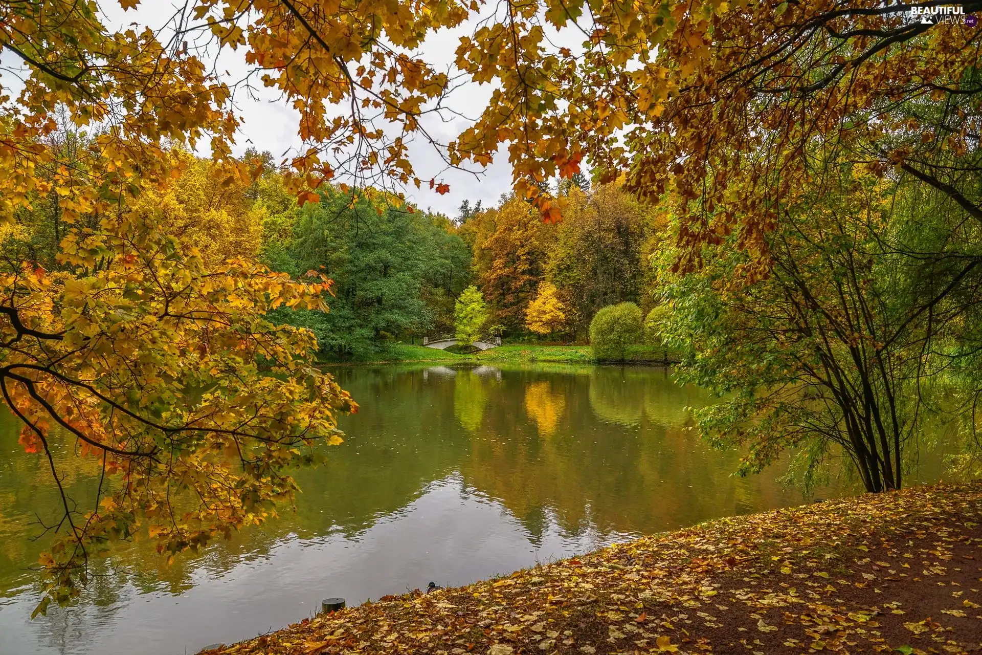 trees, viewes, autumn, Leaf, clouds, Pond - car, Park, bridge