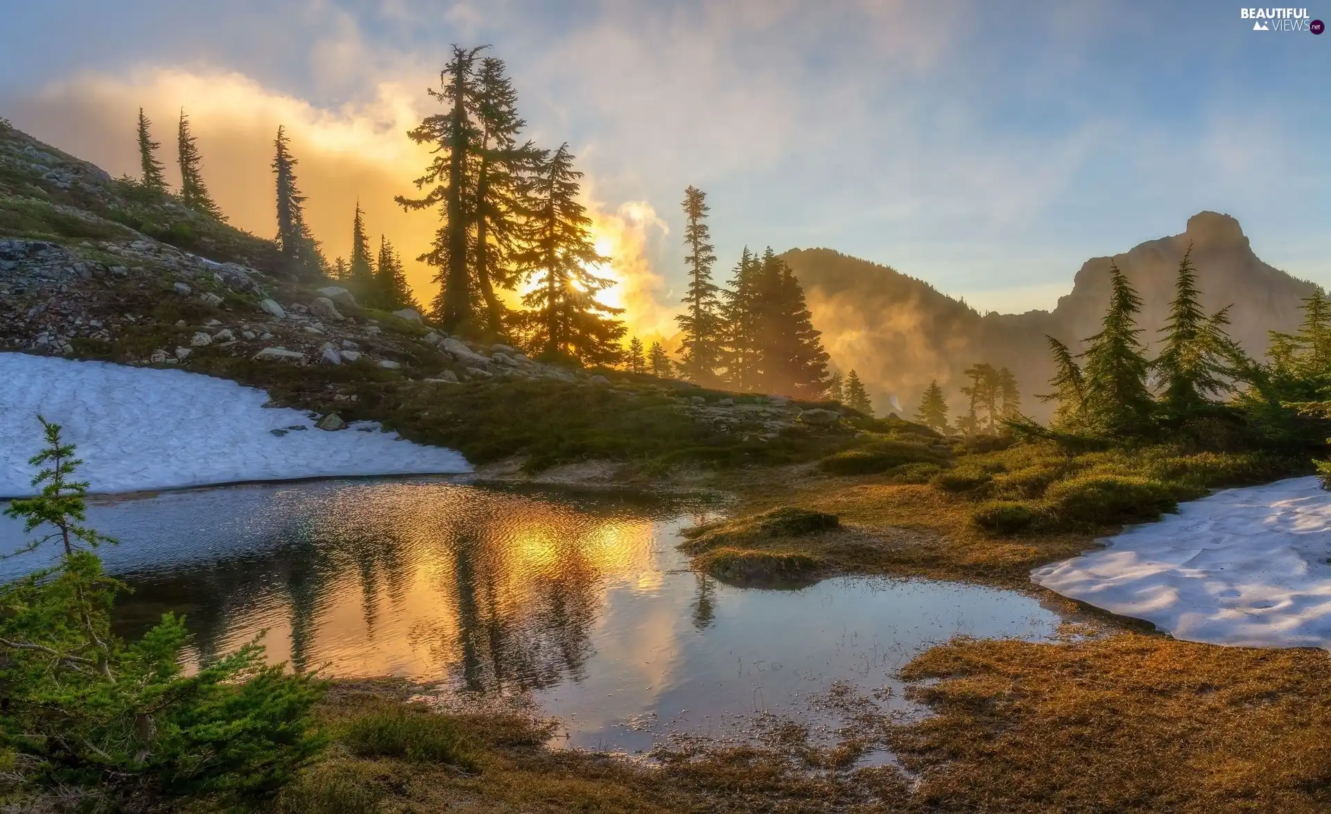 Viewes Lake Clouds Trees Mountains Sunrise Fog Beautiful Views