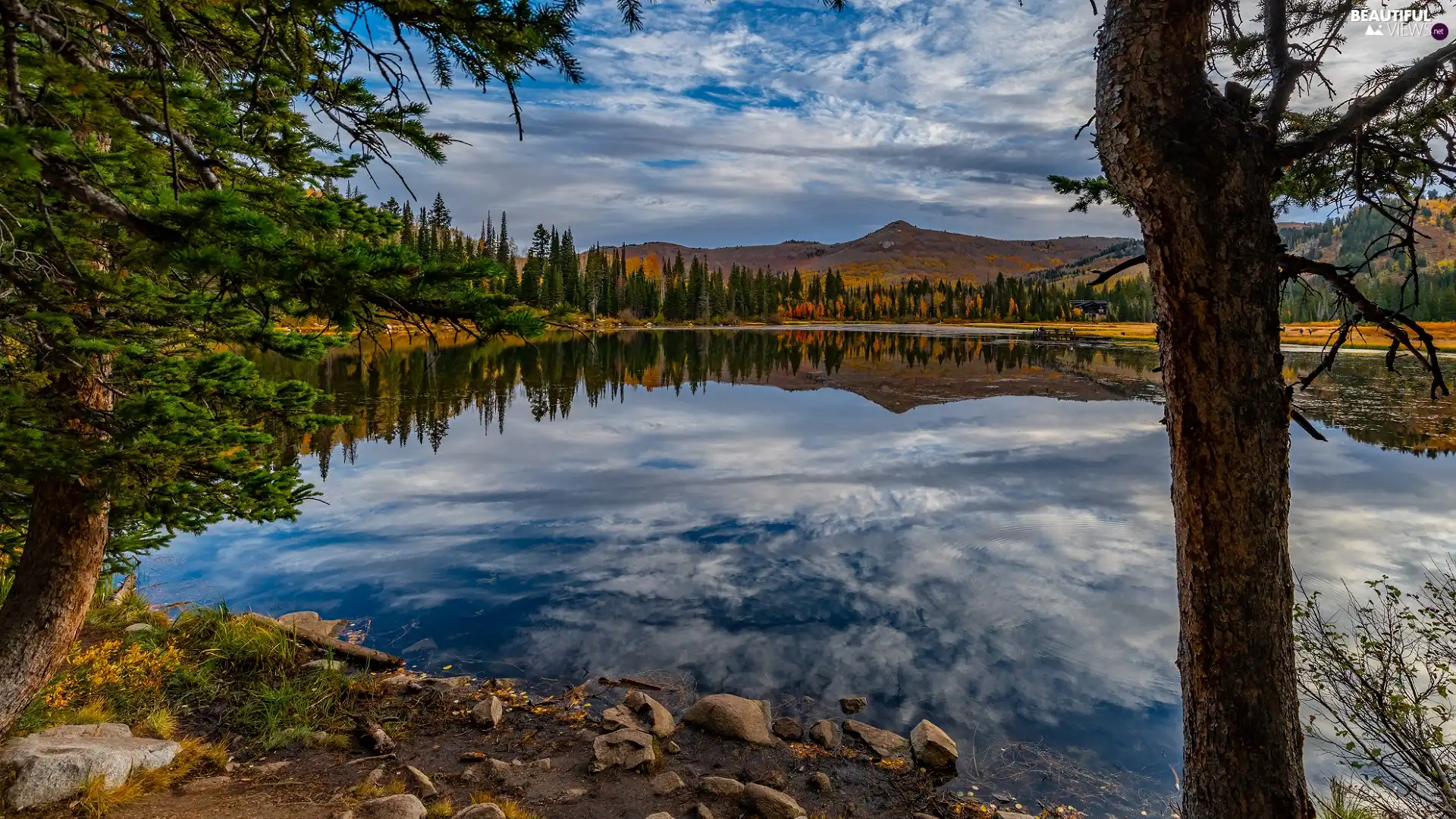 viewes, Mountains, clouds, trees, lake, Stones, reflection