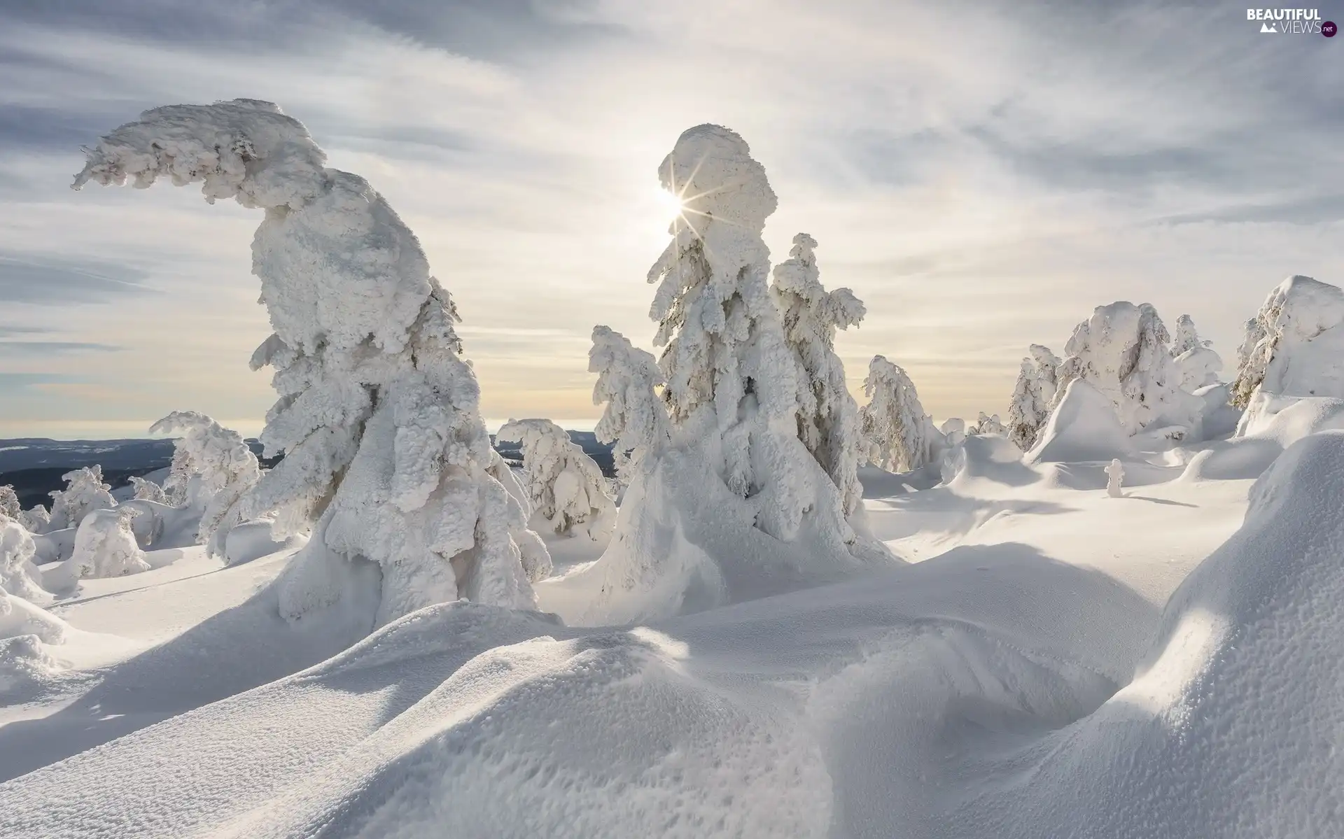 trees, winter, rays of the Sun, clouds, viewes, Snowy