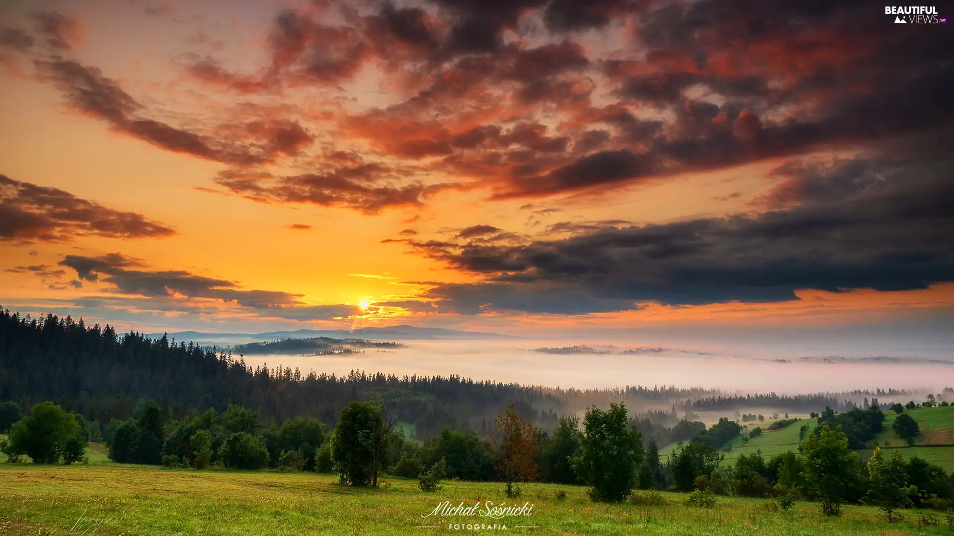 viewes, woods, clouds, trees, Mountains, Field, Sunrise