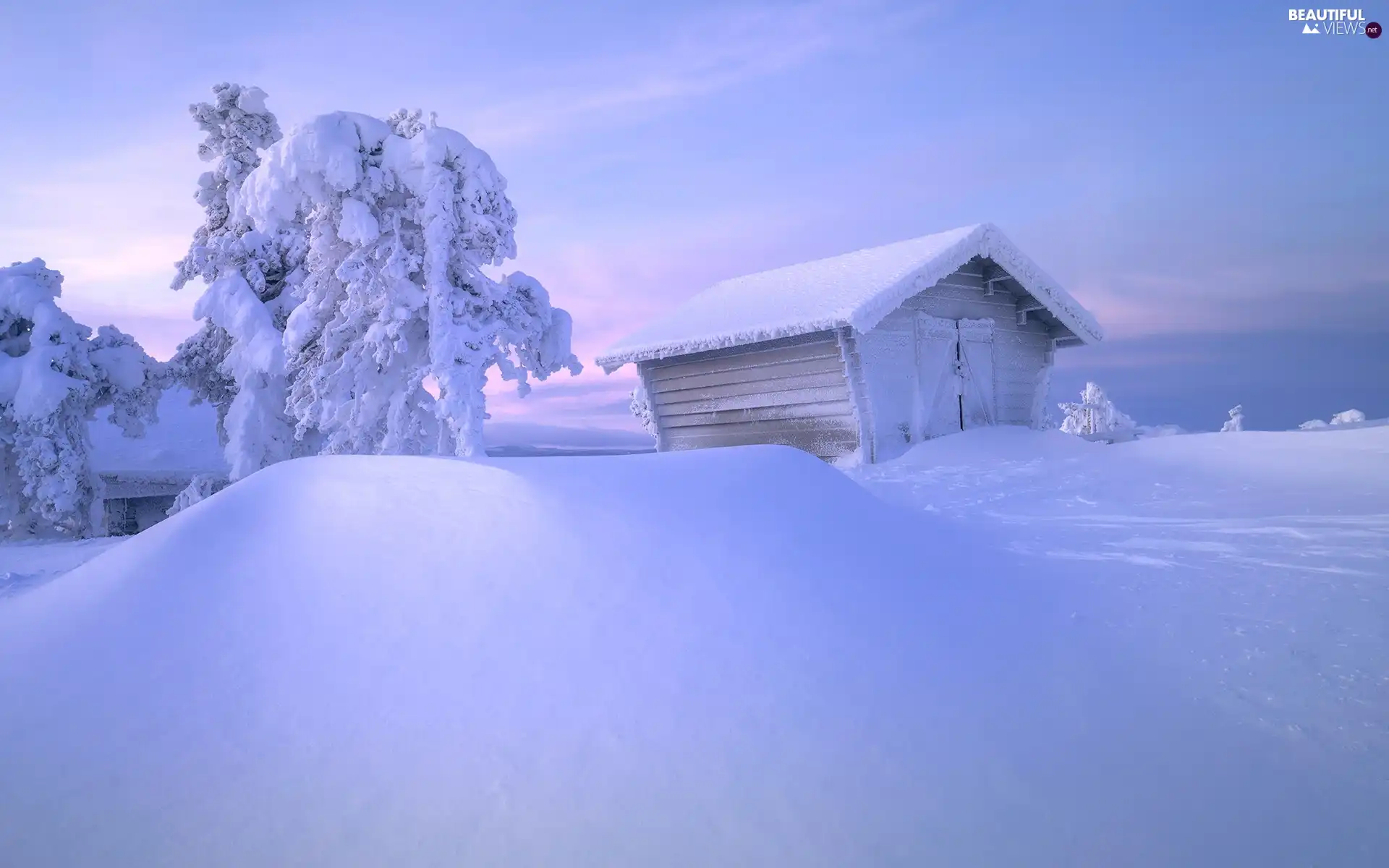 viewes, snow, cote, trees, winter, snowy, drifts