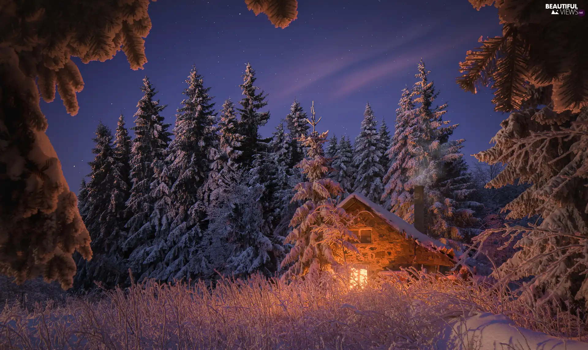 viewes, snow, Floodlit, trees, winter, Spruces, house