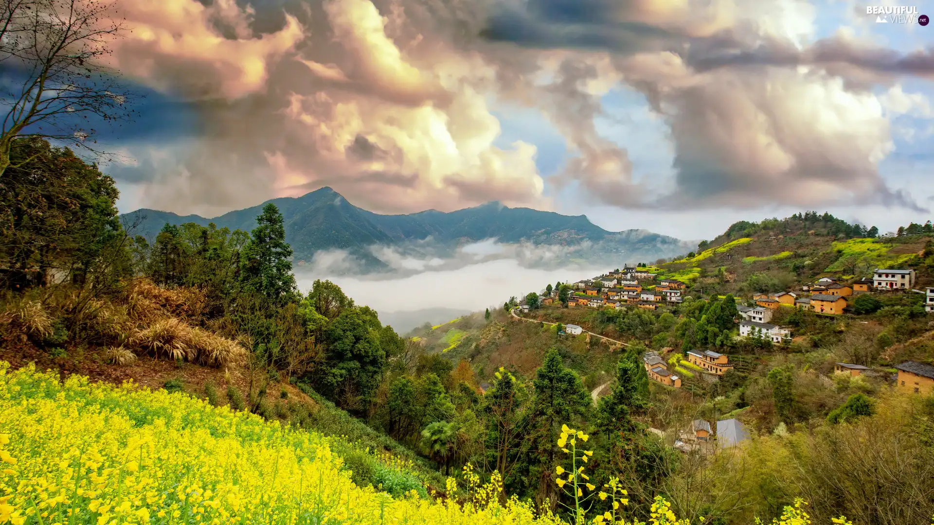 viewes, clouds, Fog, trees, forest, Mountains, Houses