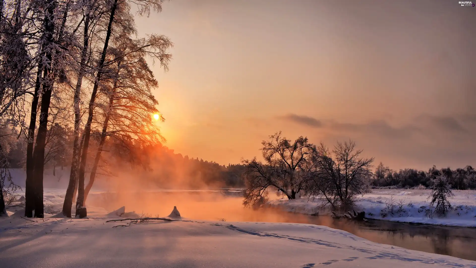 River, dawn, viewes, forest, winter, trees, Fog