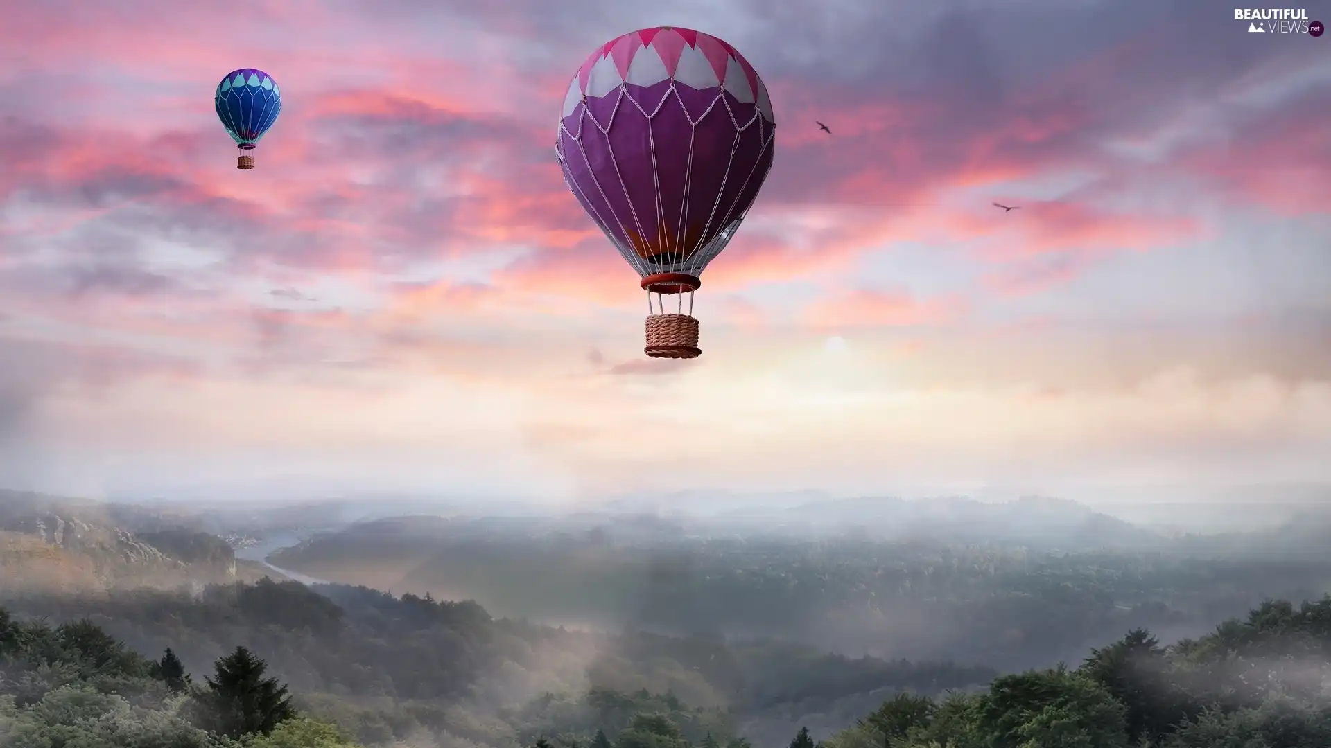viewes, Mountains, Fog, trees, Balloons, VEGETATION, birds