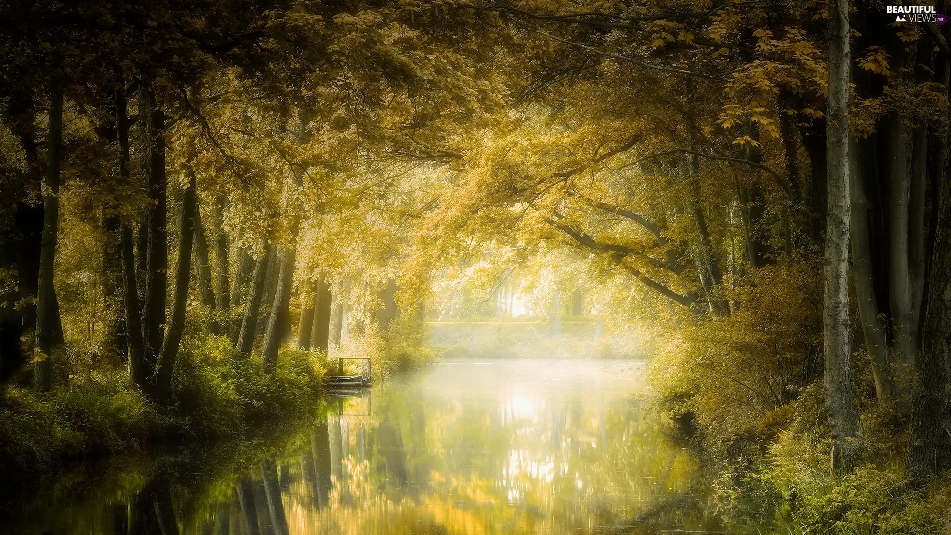 Pond - car, footbridge, trees, viewes, forest