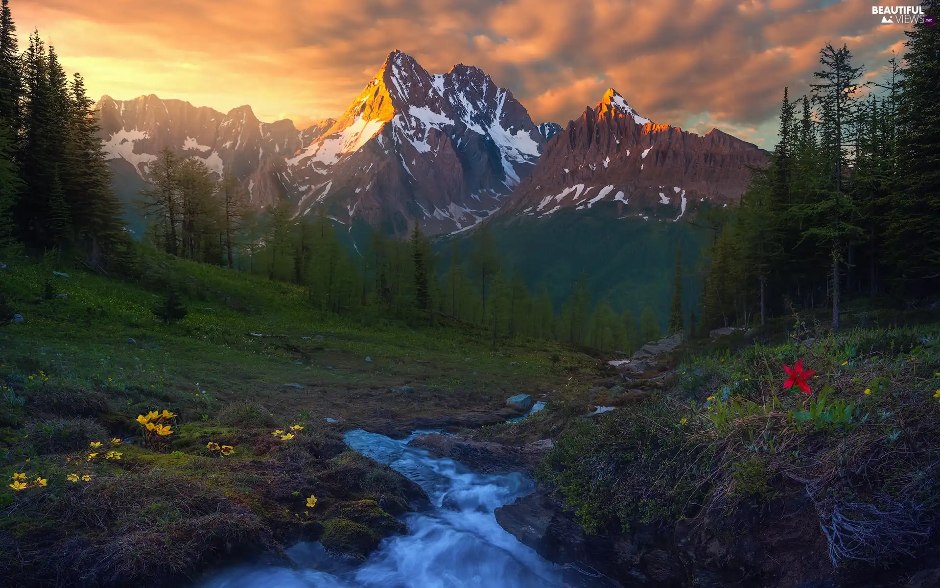 trees, viewes, clouds, stream, Great Sunsets, forest, Mountains, Flowers