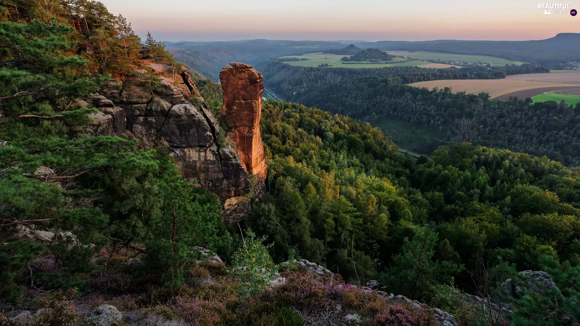 rocks, Děčínská vrchovina, trees, viewes, Saxon Switzerland National Park, Germany, Fog, rocks, woods