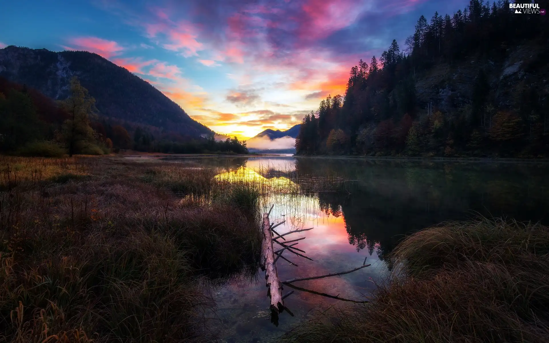 trees, viewes, branch, lake, dry, Mountains, Great Sunsets, grass