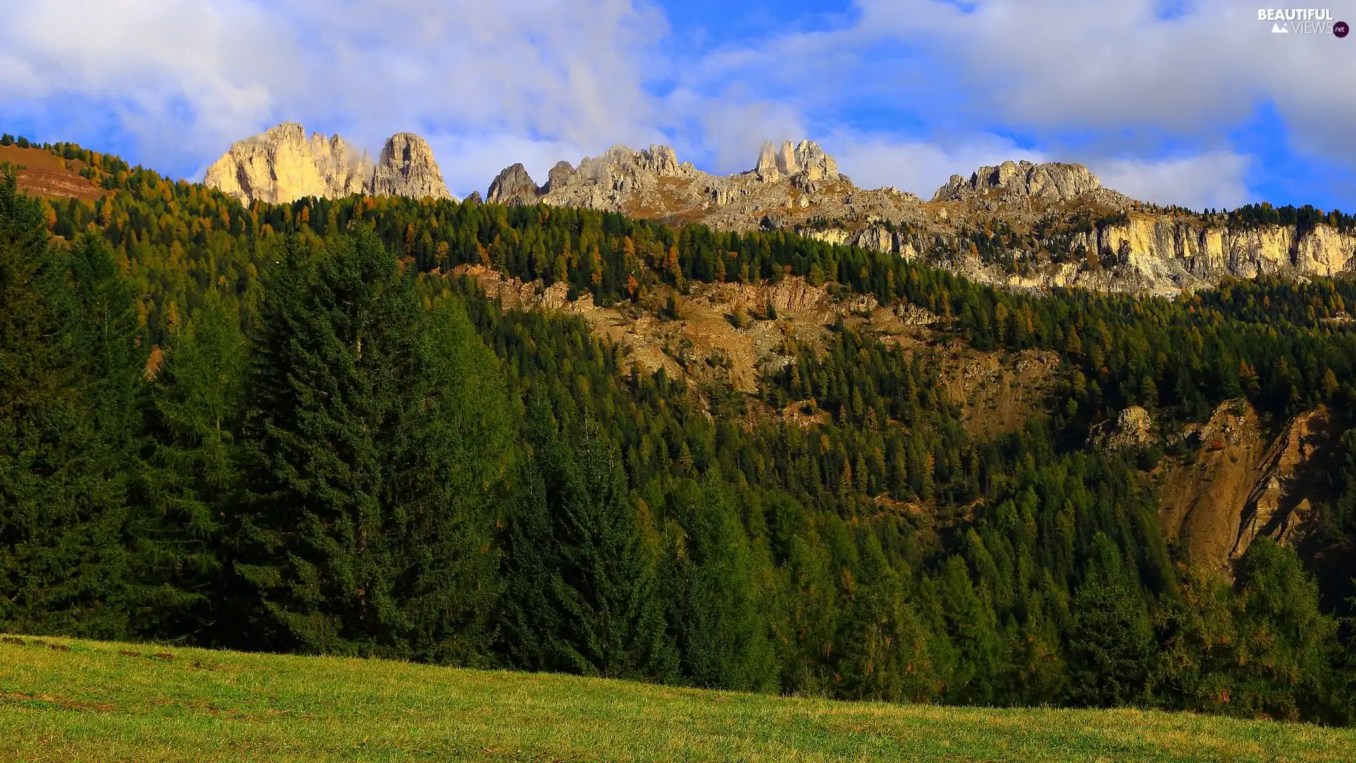 viewes, rocks, Green, trees, Mountains, Spruces, forest