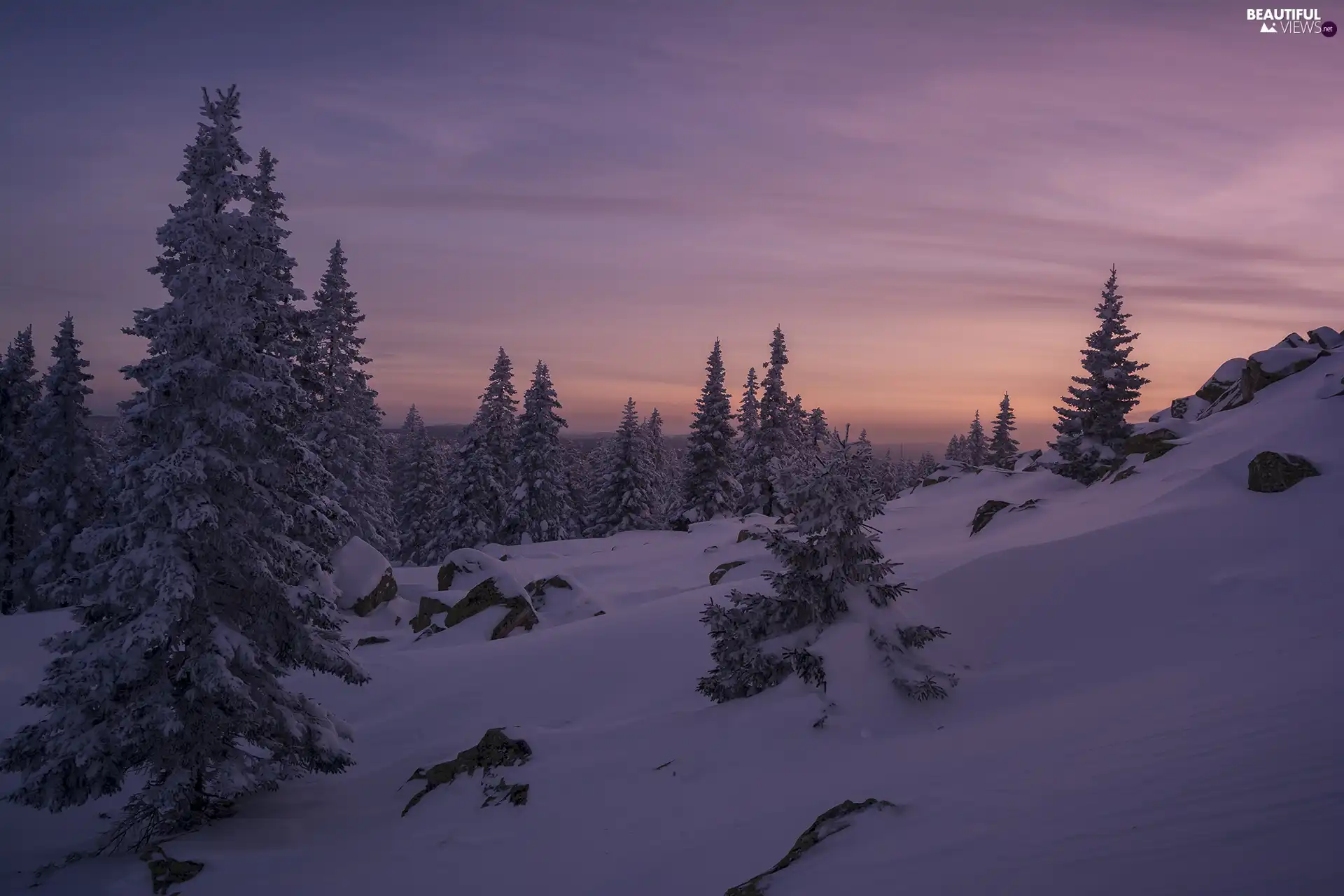 winter, Great Sunsets, trees, viewes, Hill