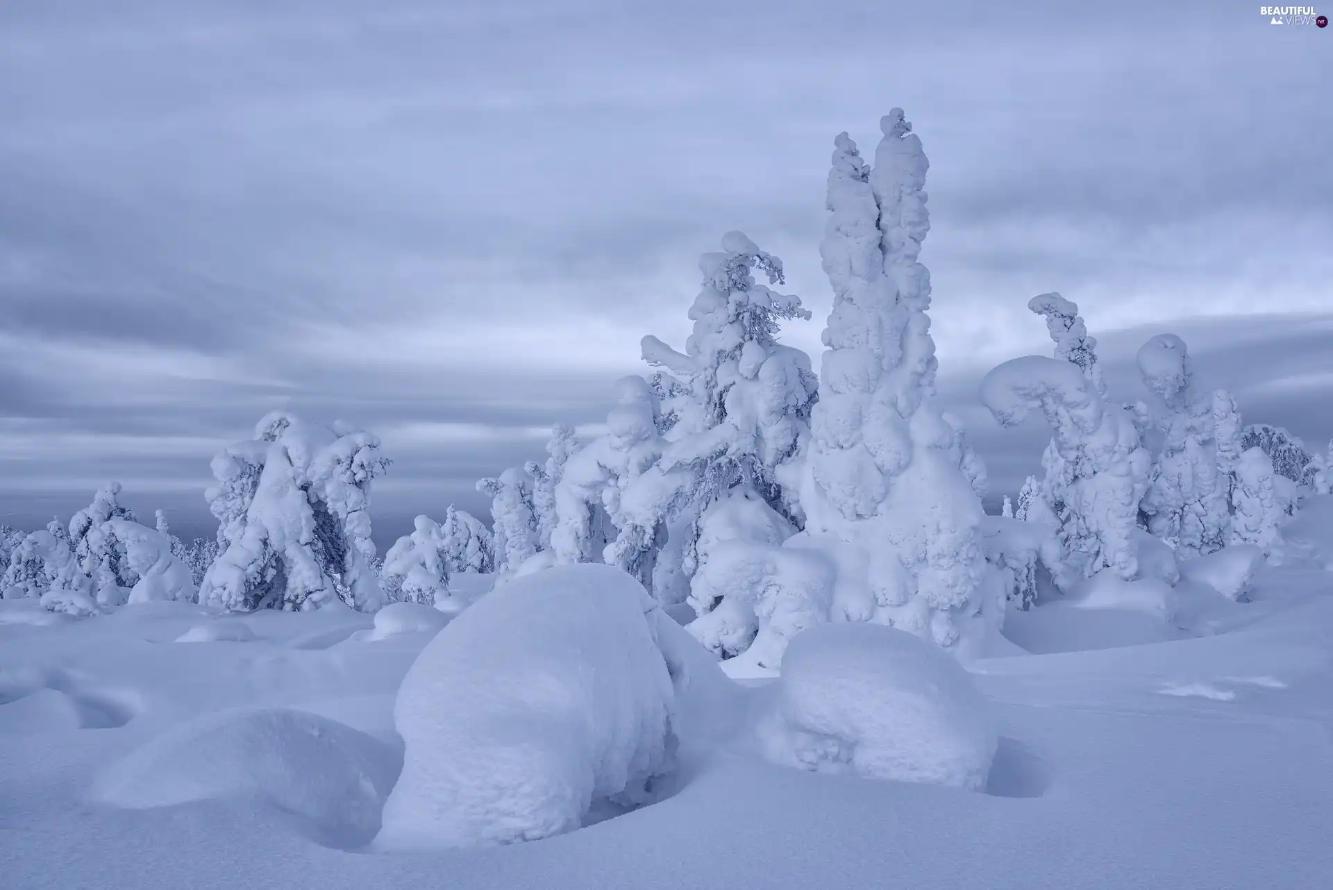 viewes, winter, Snowy, trees, The Hills