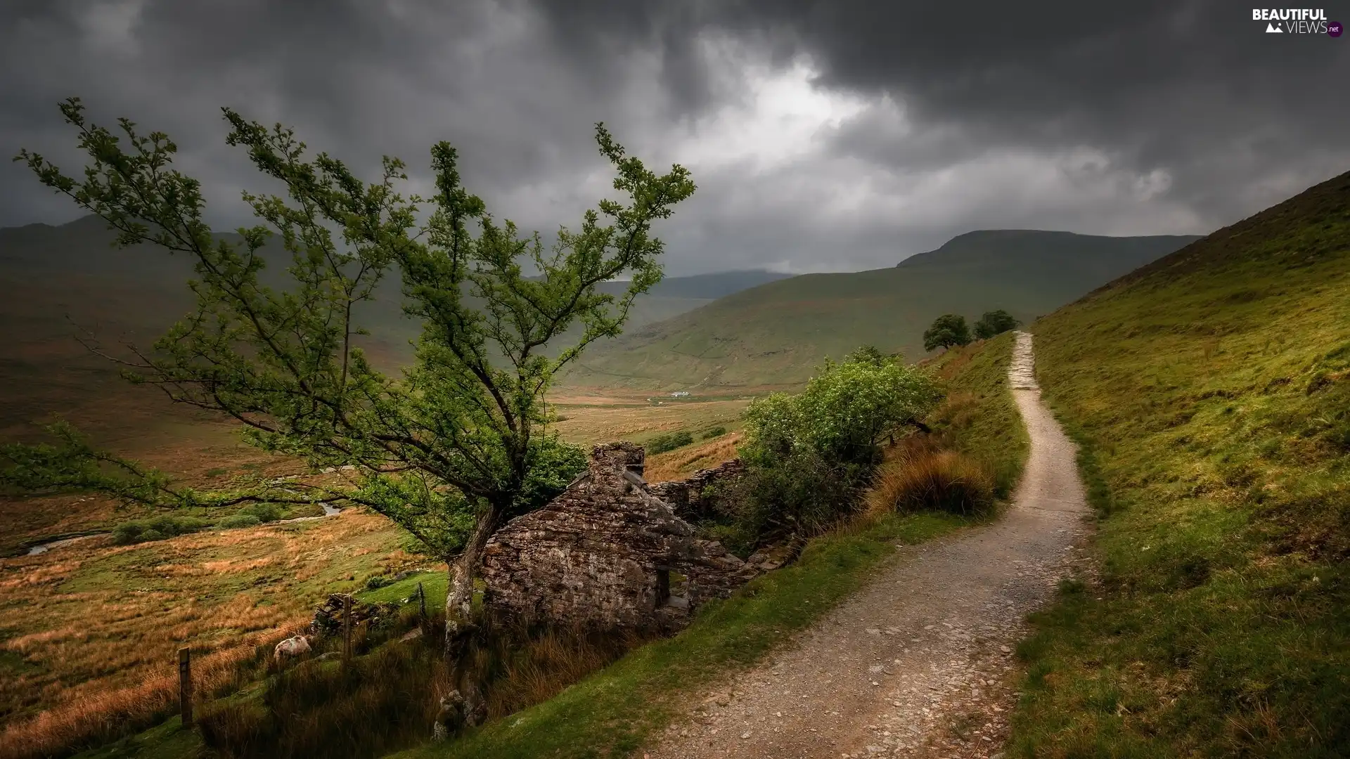 trees, house, Sky, ruins, Clouds, The Hills, Field, Path