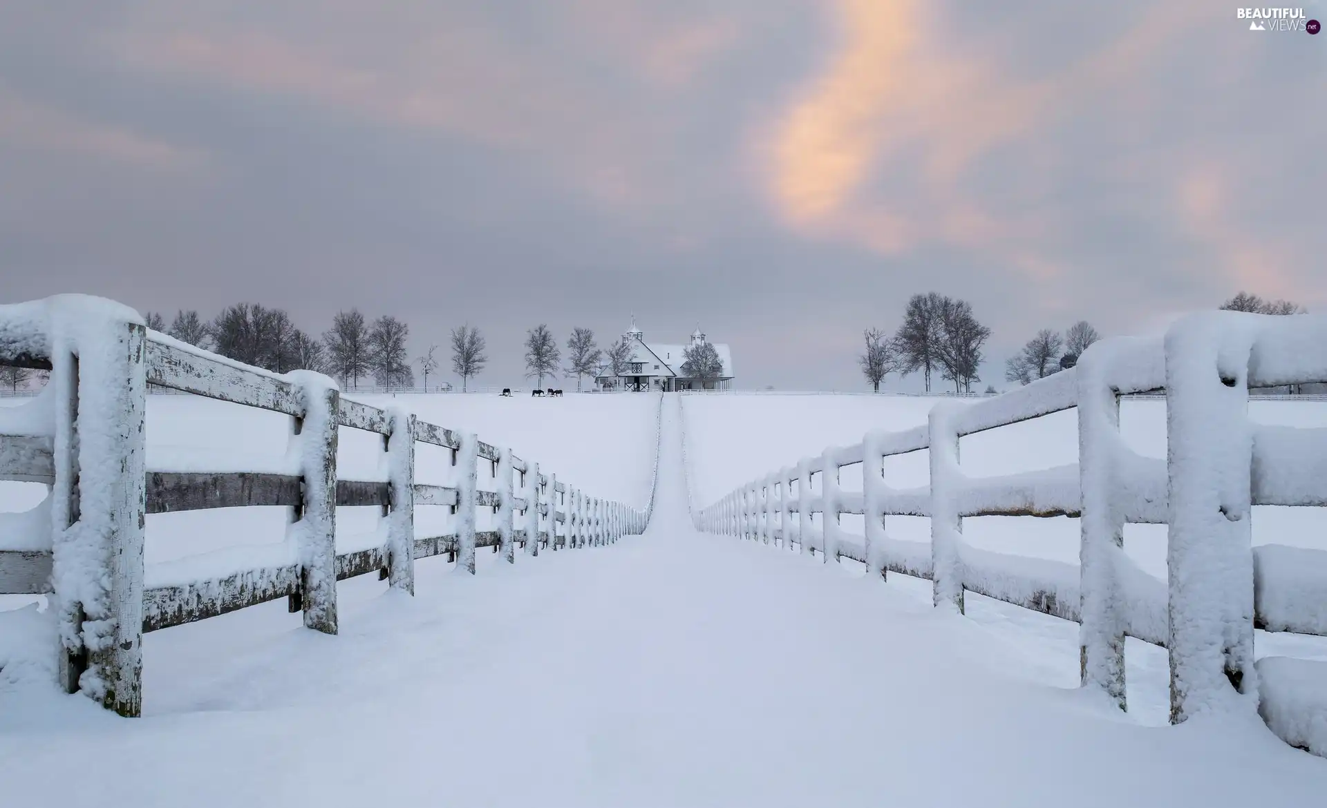 snow, fence, house, Fance, viewes, Way, winter, trees
