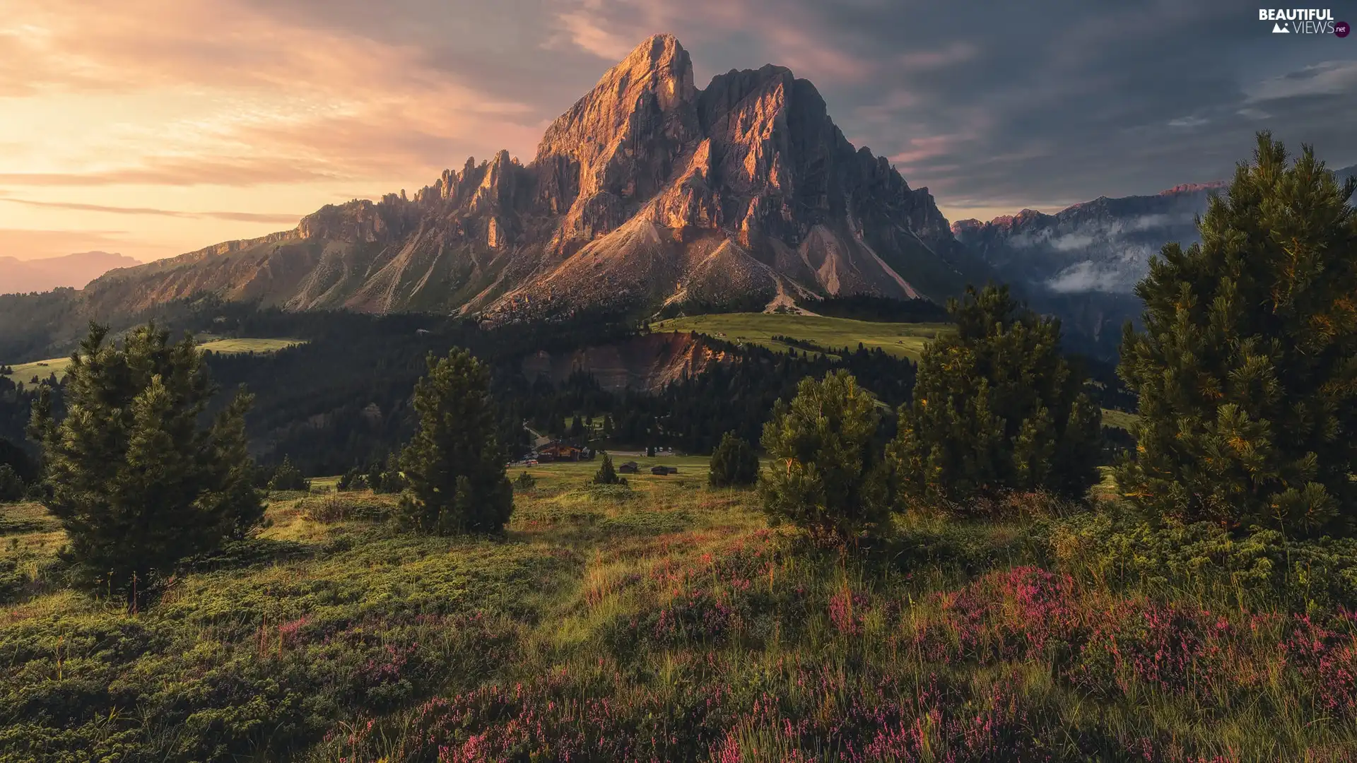 viewes, forest, Houses, trees, Mountains, Meadow, clouds