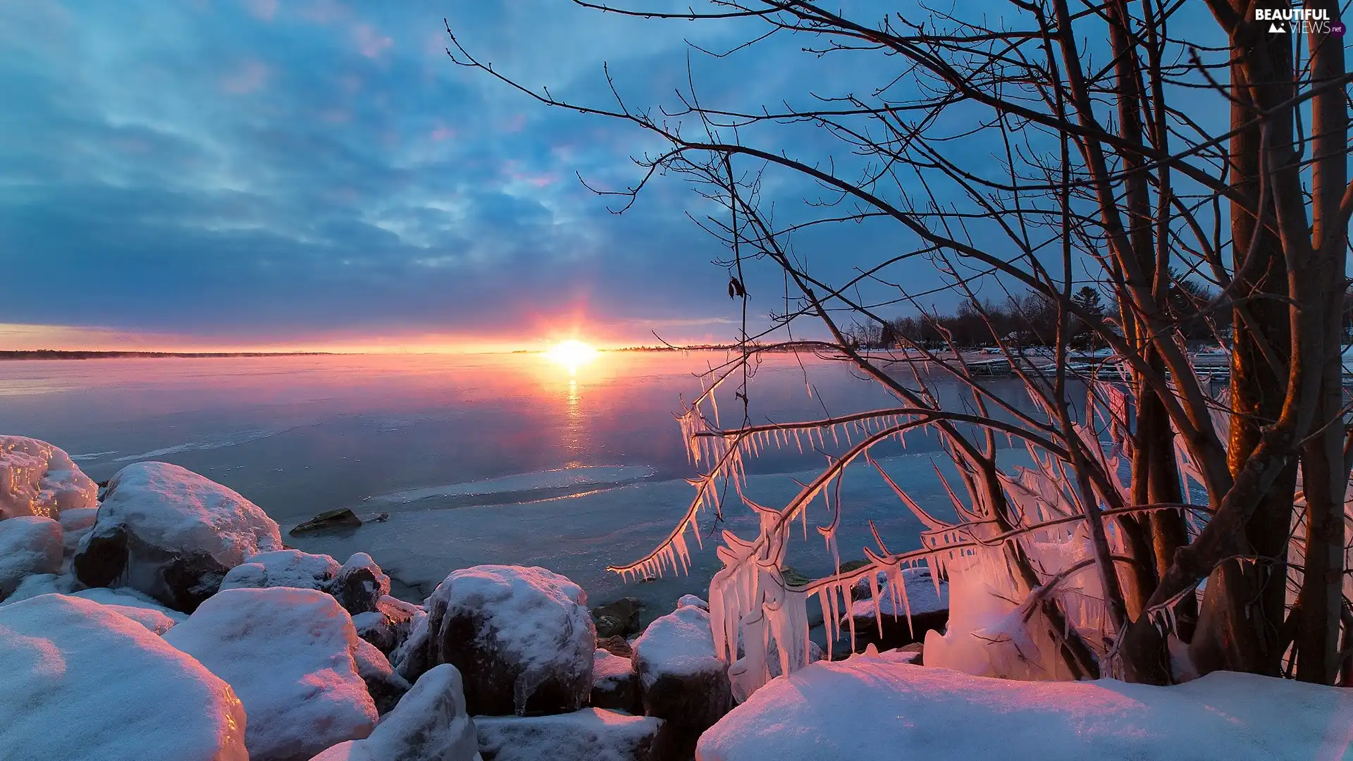 Stones, east, Icecream, sun, icicle, lake, winter, trees